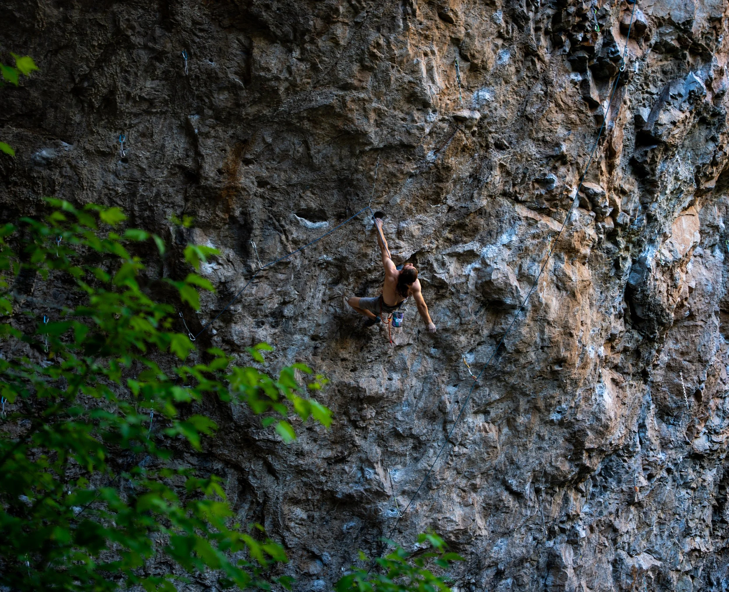 DSC08811.JPG