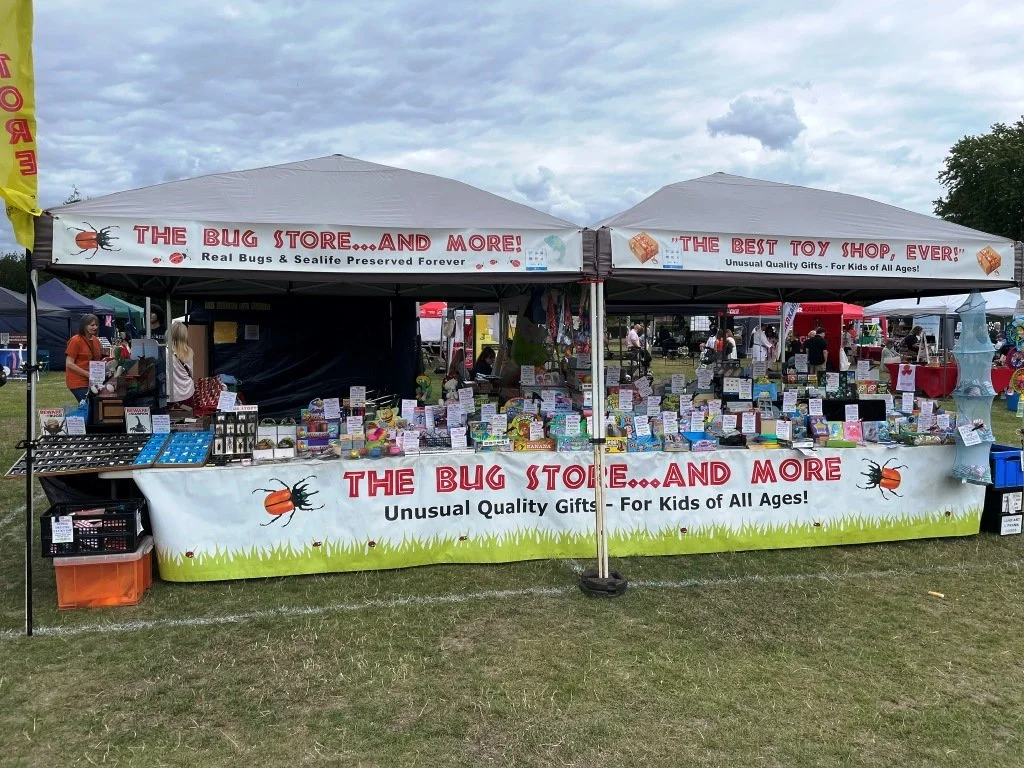 Runnymede Live 2.JPG