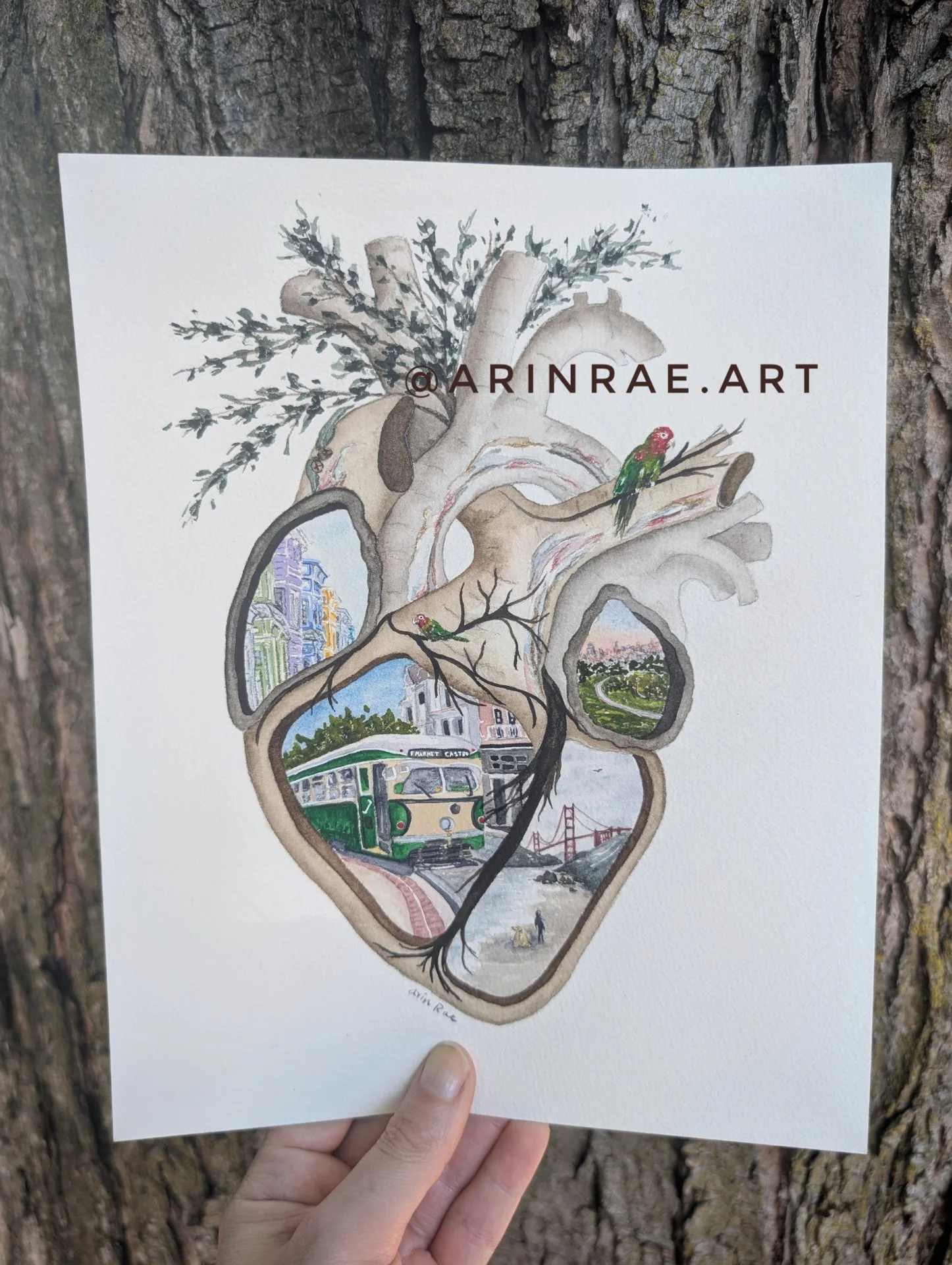 San Francisco Anatomical Heart Watercolor Print