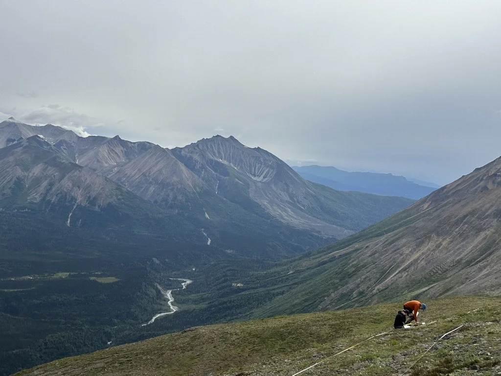 Wrangell-St. Elias National Park & Preserve, Alaska