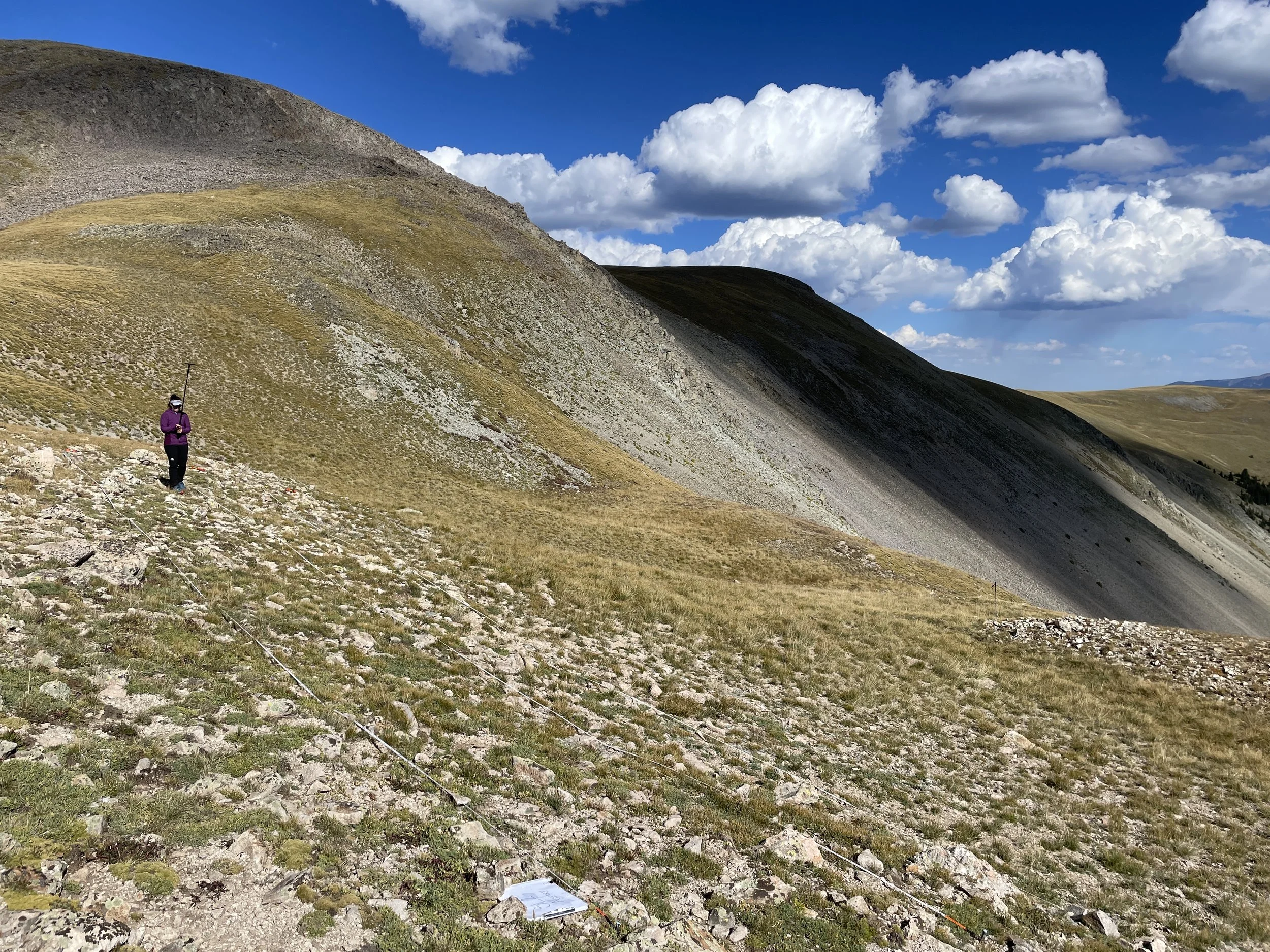 Gathering images of silene population in Latir Wilderness, NM with selfie stick