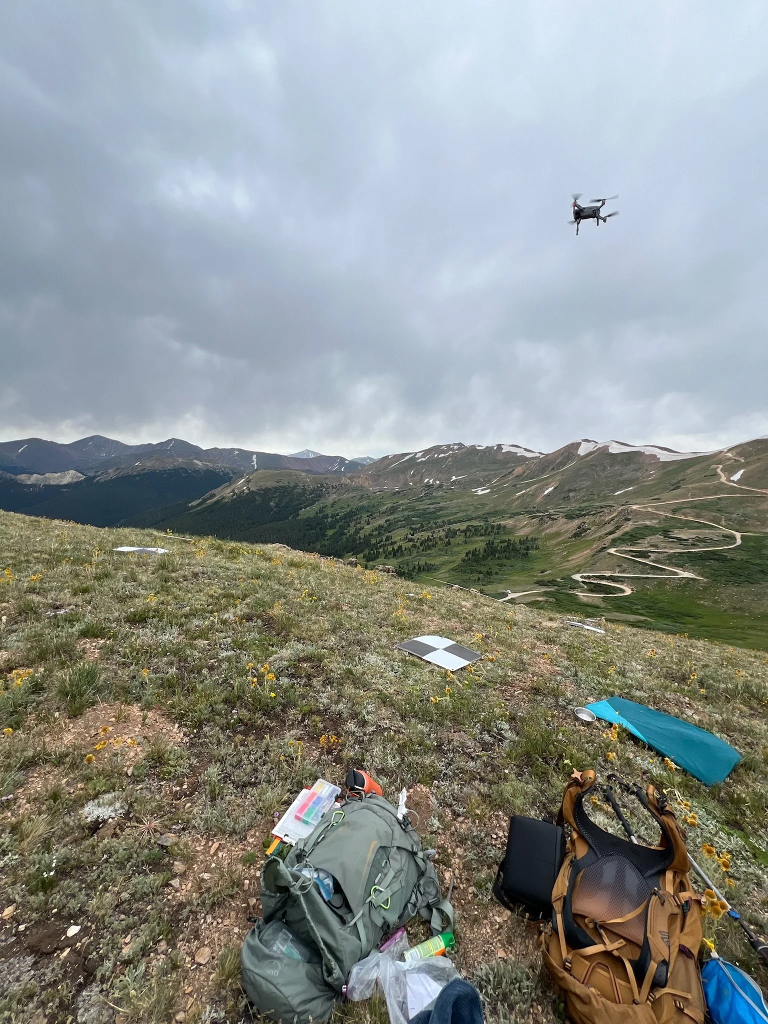 Low elevation drone flight over Eritrichium nanum study population - PC: Helena Shapiro