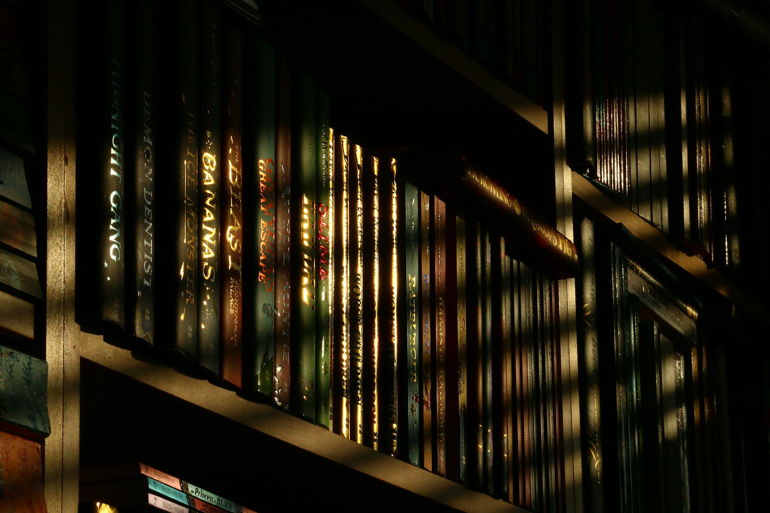 Sunlight beaming on a single library shelf.