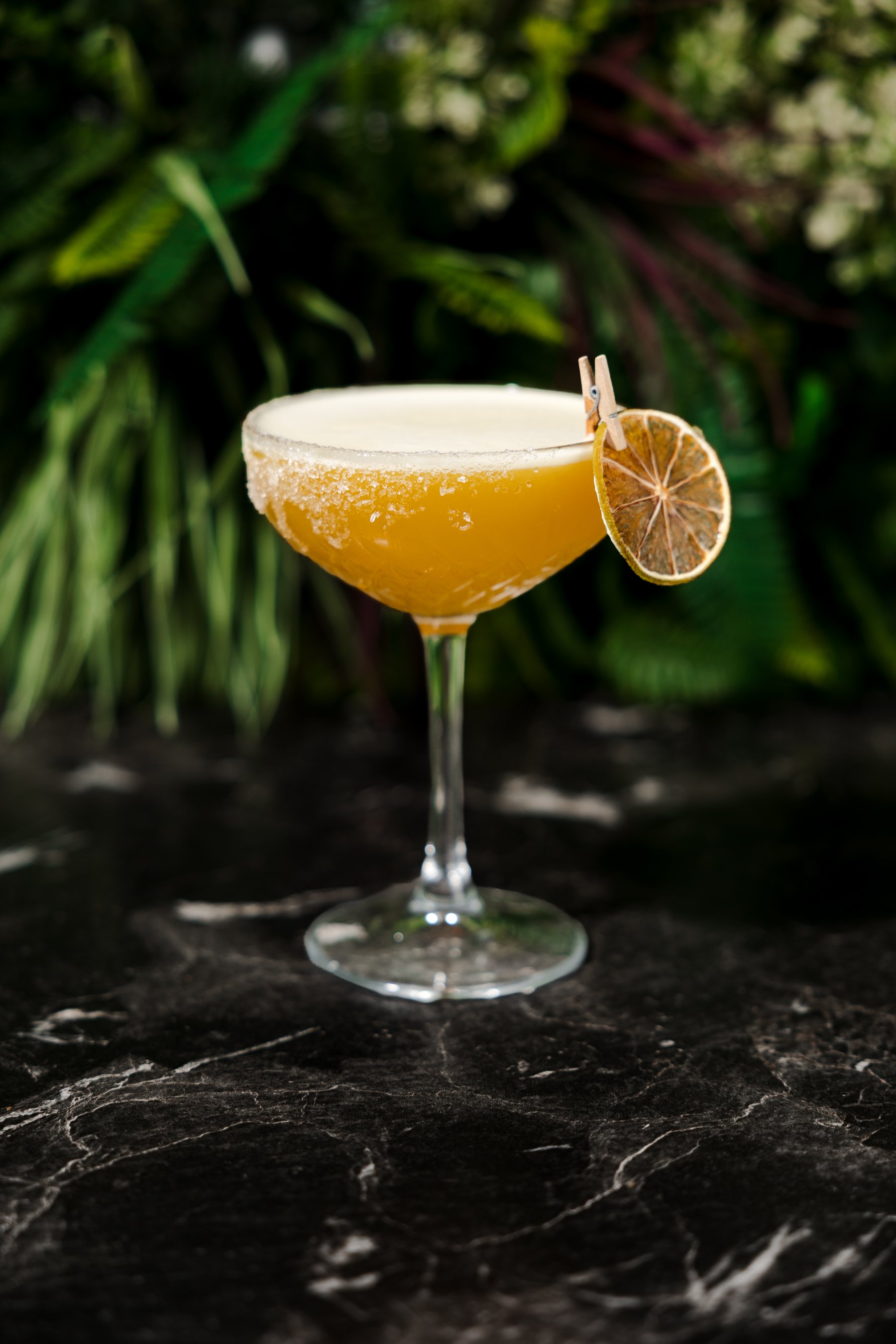Close-up of a cocktail glass with yellow drink, salted rim, and dried lemon slice garnish, set on a dark marble surface with blurred green foliage background.