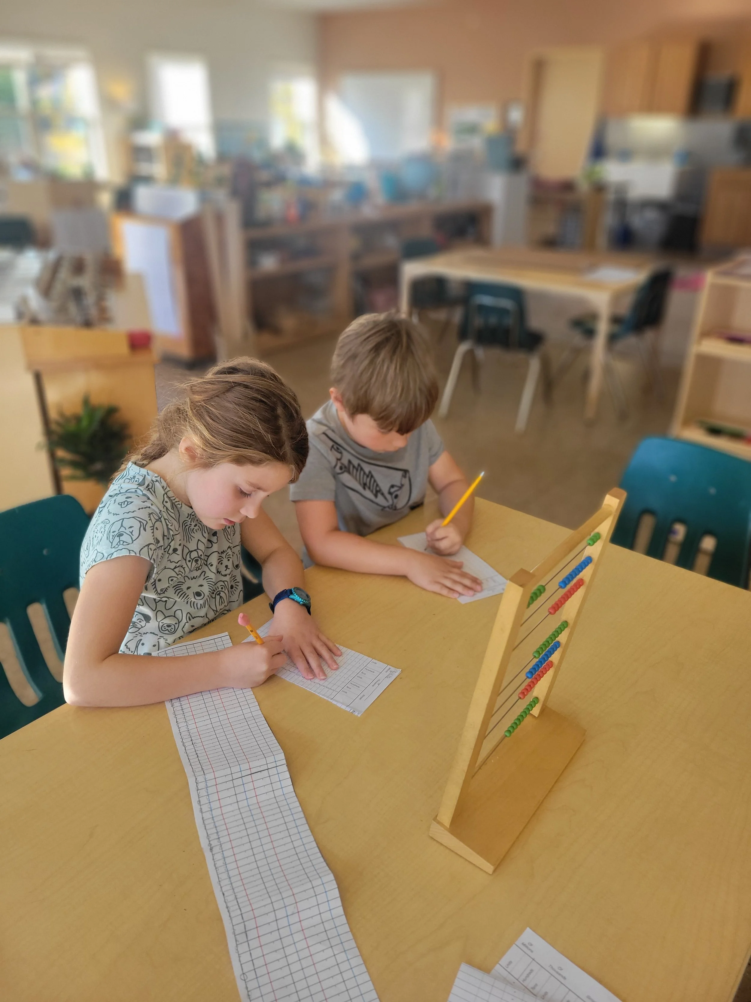 Two children working together at Madison Community Montessori School