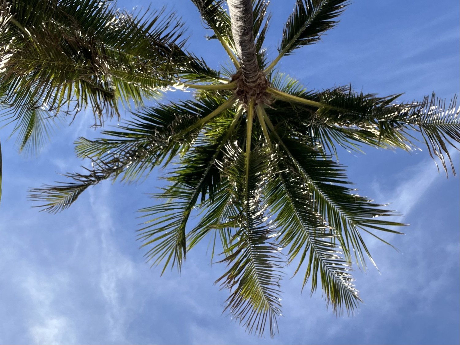 The Perfect Beach Day: Where to Eat, Relax, and Explore Near Village Cafe