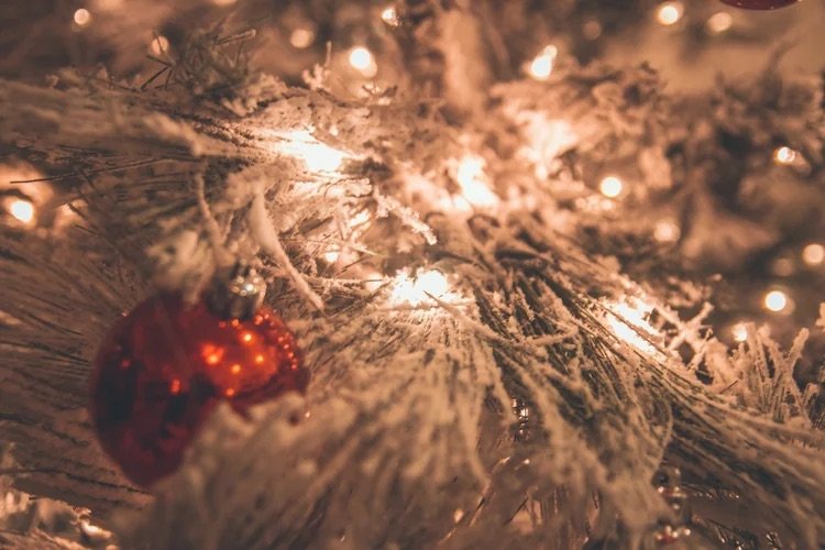 Holiday Drinks to Warm Your Soul at Village Cafe