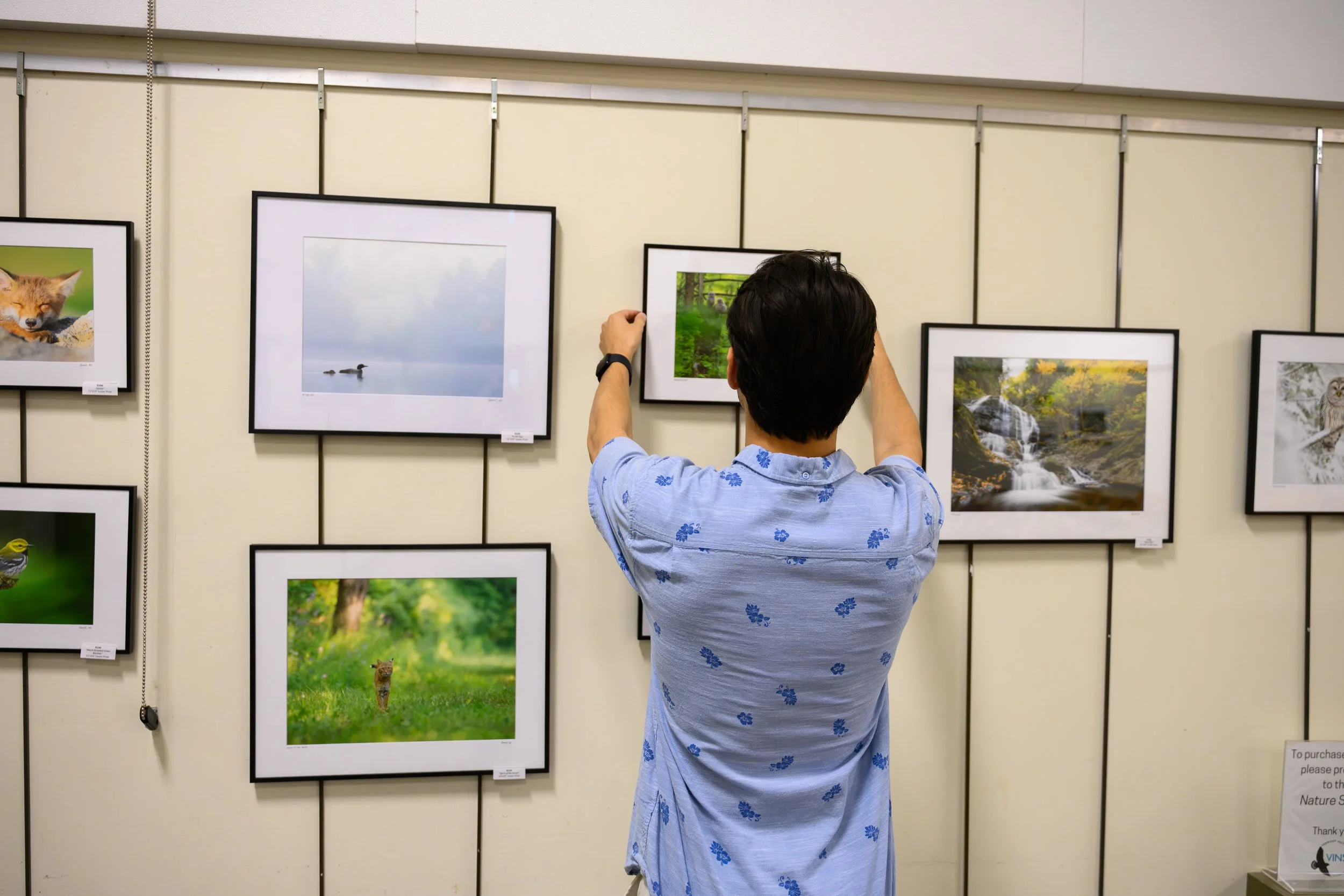 Person viewing framed nature photographs on a gallery wall. The person is wearing a light blue shirt with dark blue floral patterns and is standing with their back to the camera.