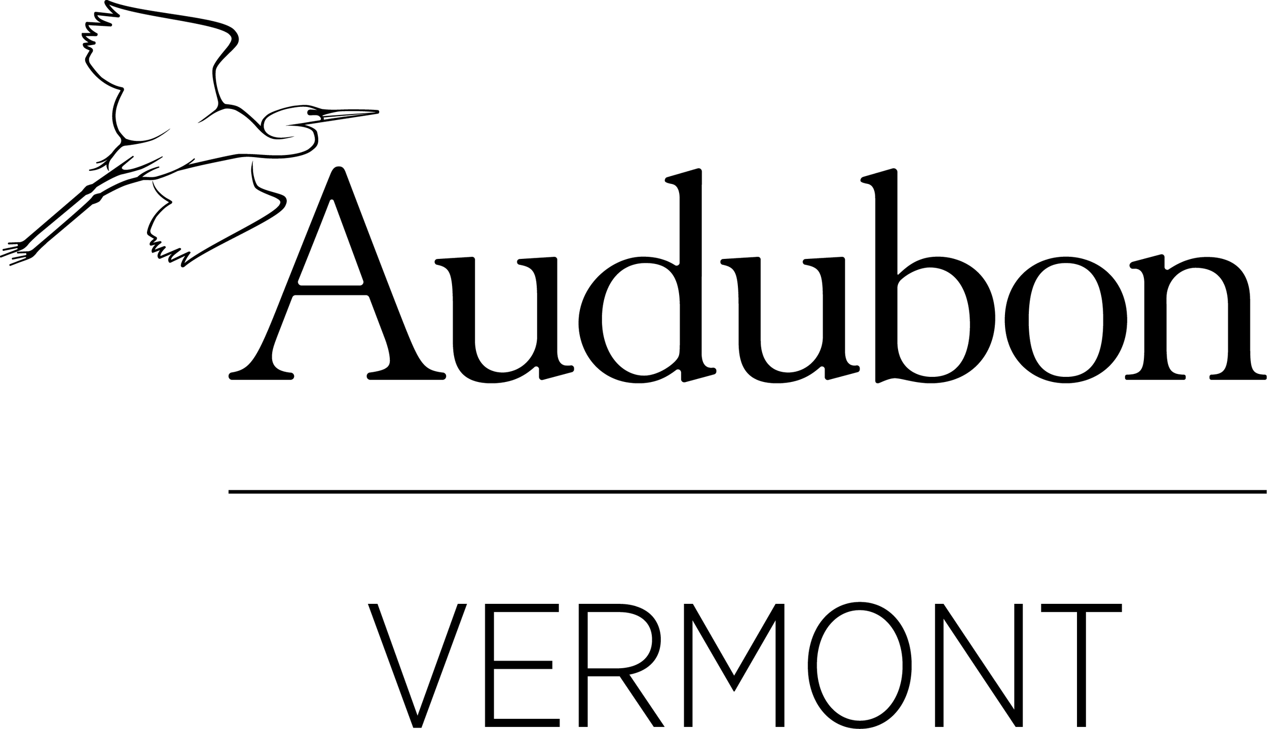 Silhouette of a person holding a trophy and standing on a podium with a checkered flag in the background.