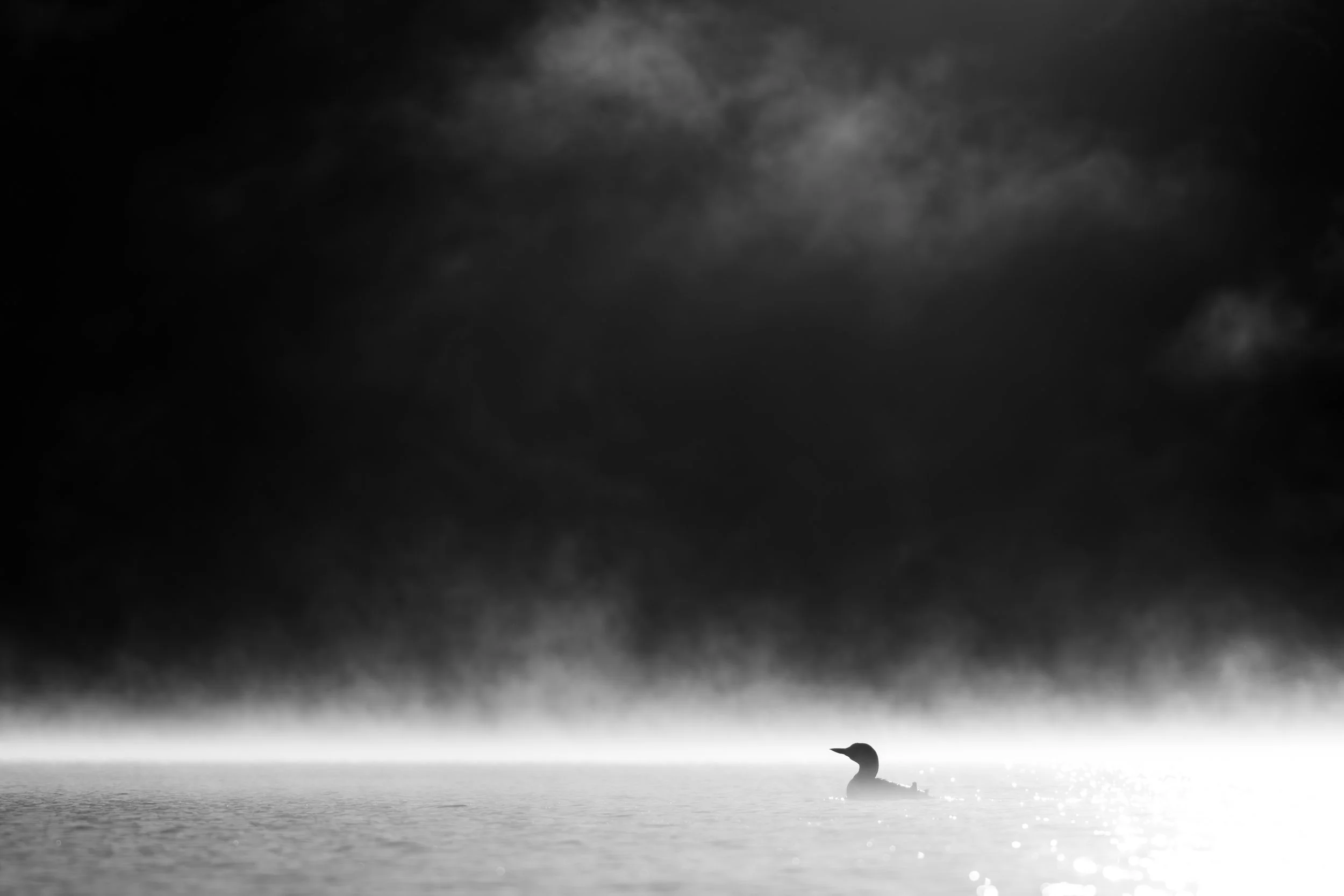 DSC_8468.jpg