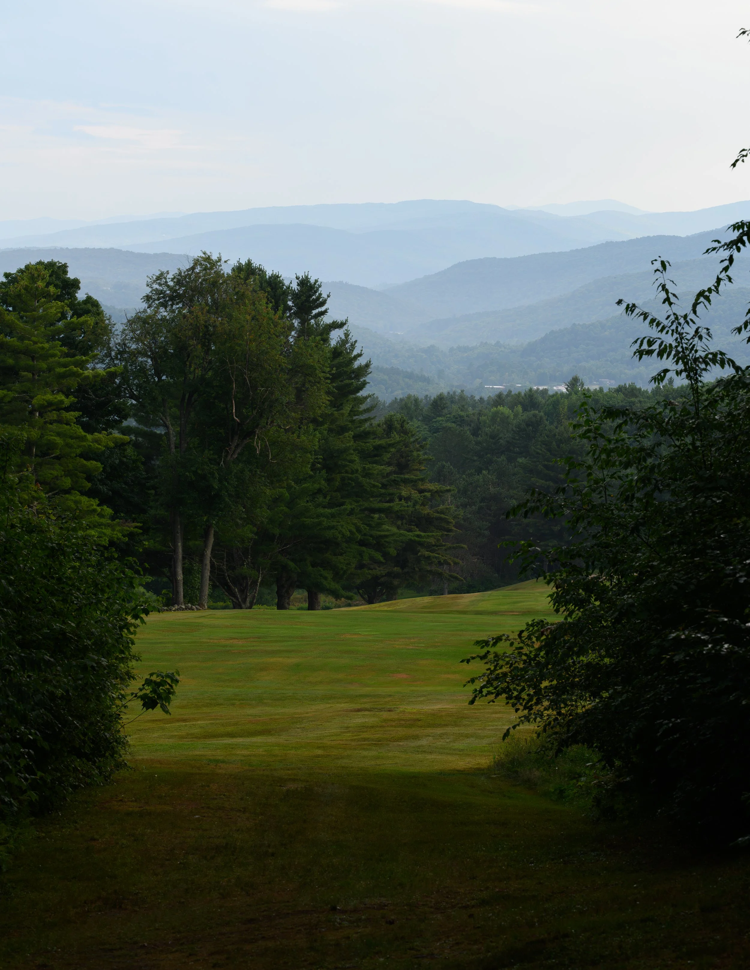 DSC_0561.jpg