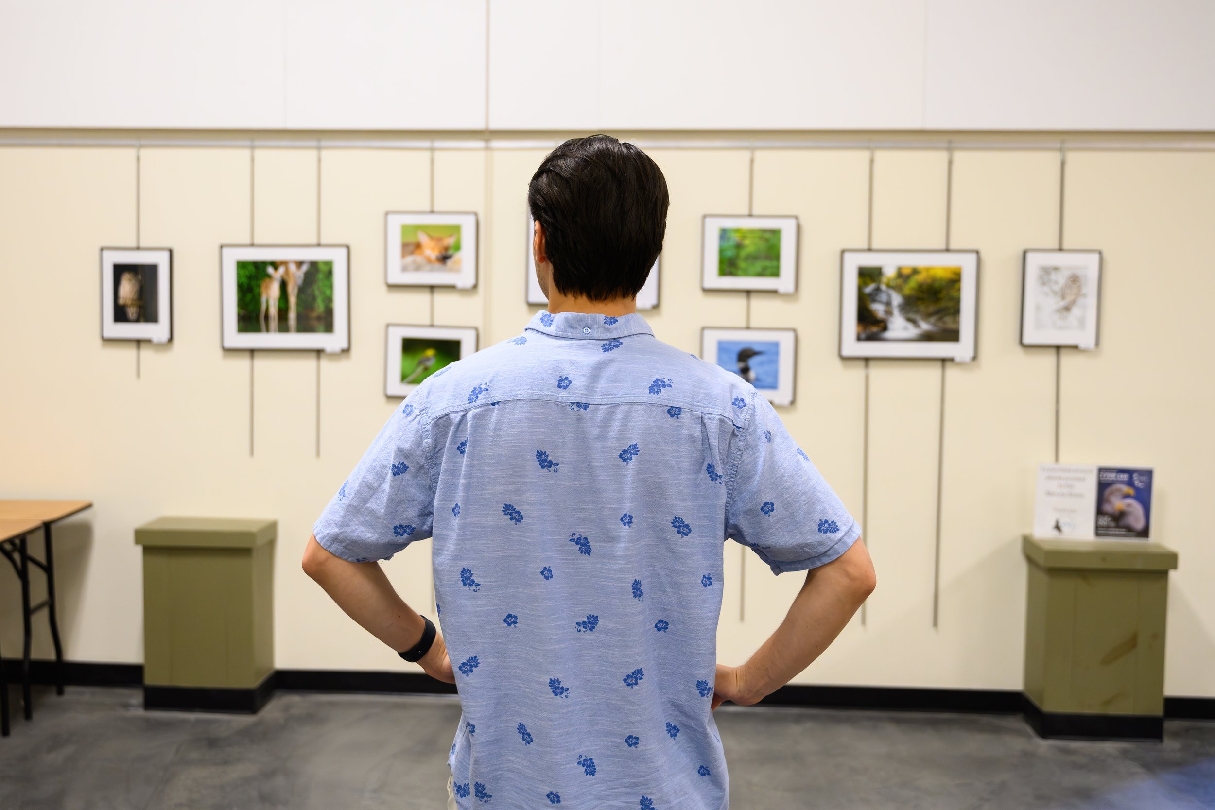 A person with dark hair wearing a light blue shirt with a blue floral pattern is standing in front of a wall with framed pictures of animals and nature. The person has their hands on their hips and is viewed from behind.