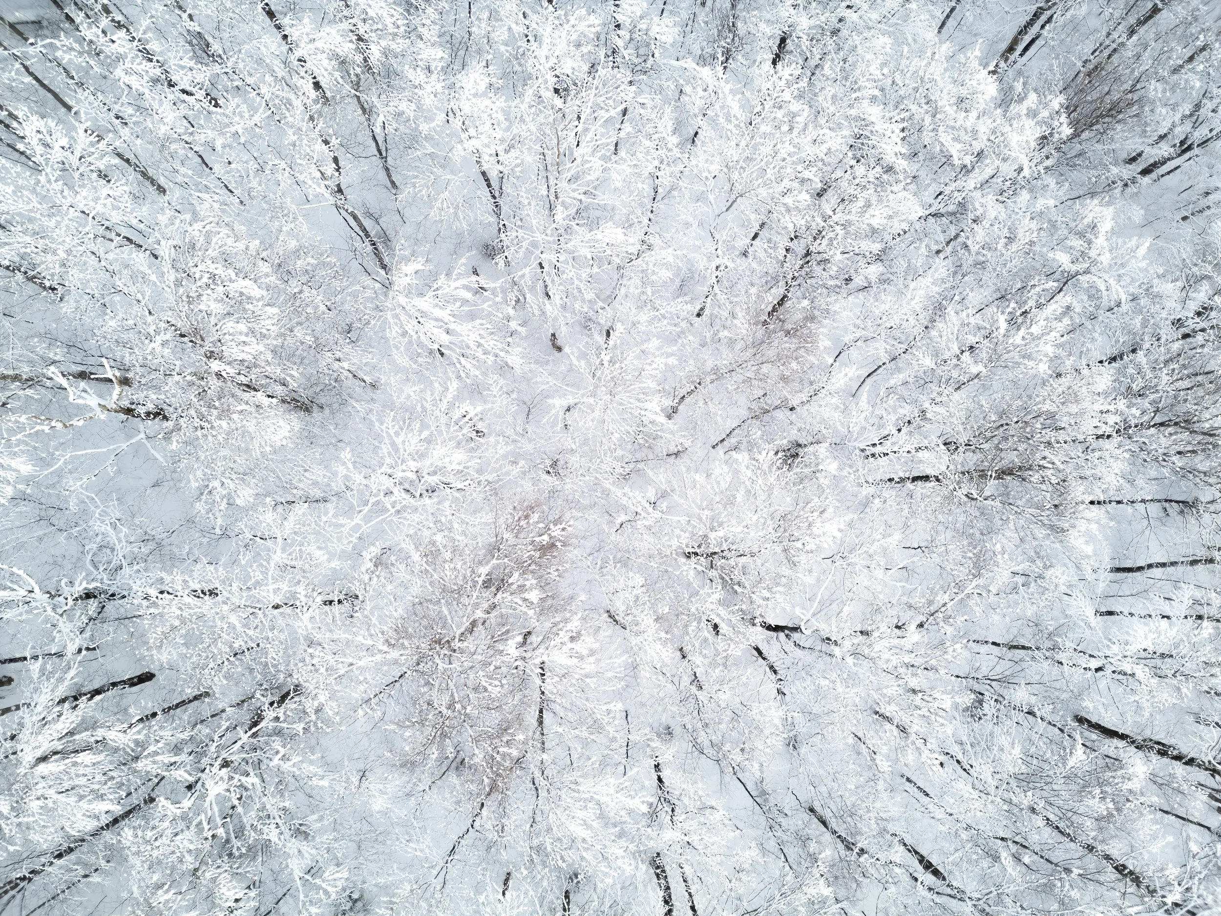 Vermont-Stowe-Snow-Covered-Trees-Drone-Nature-Landscape-Photography.jpg (Copy)