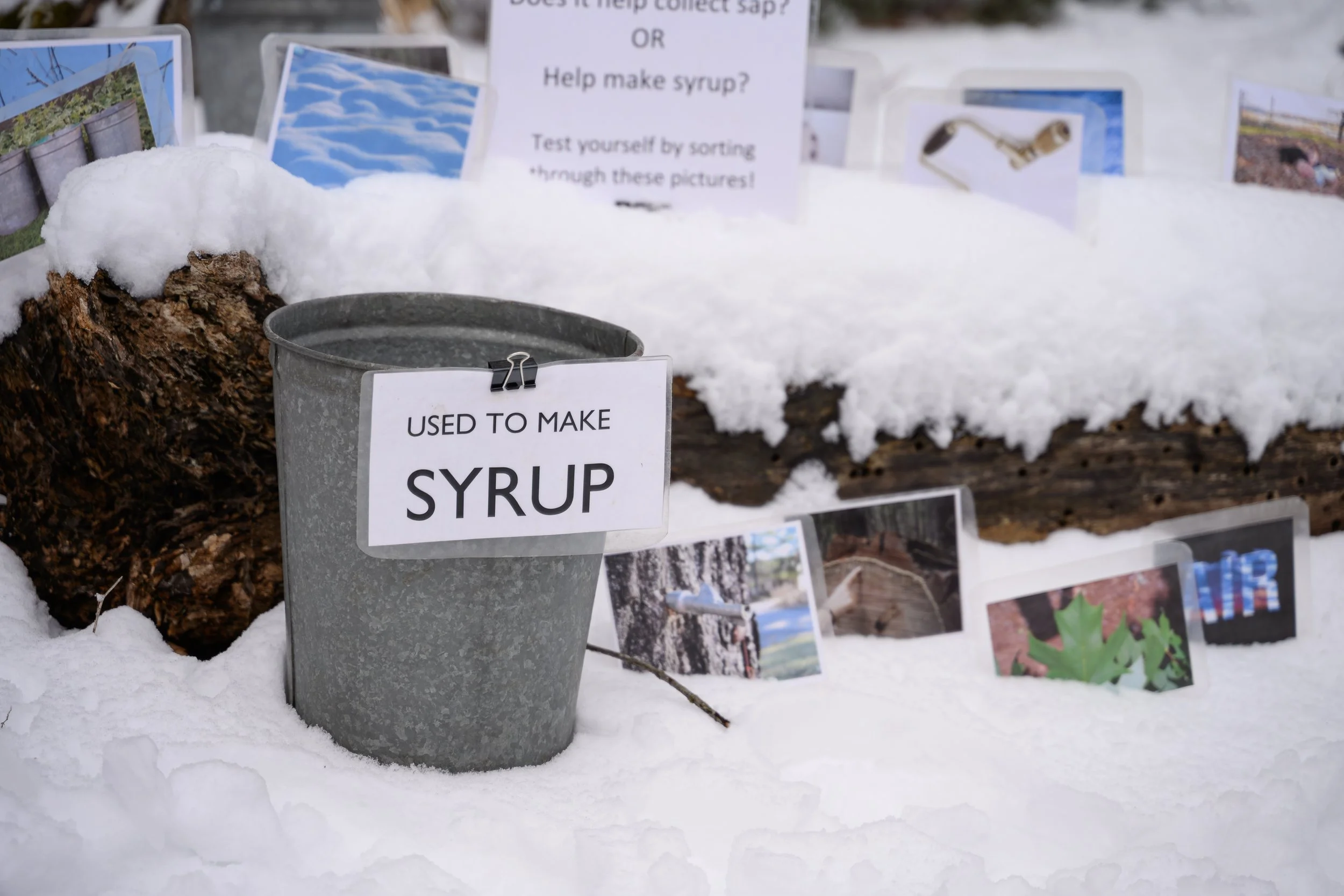 Audubon_Vermont_MapleonIce-12.jpg