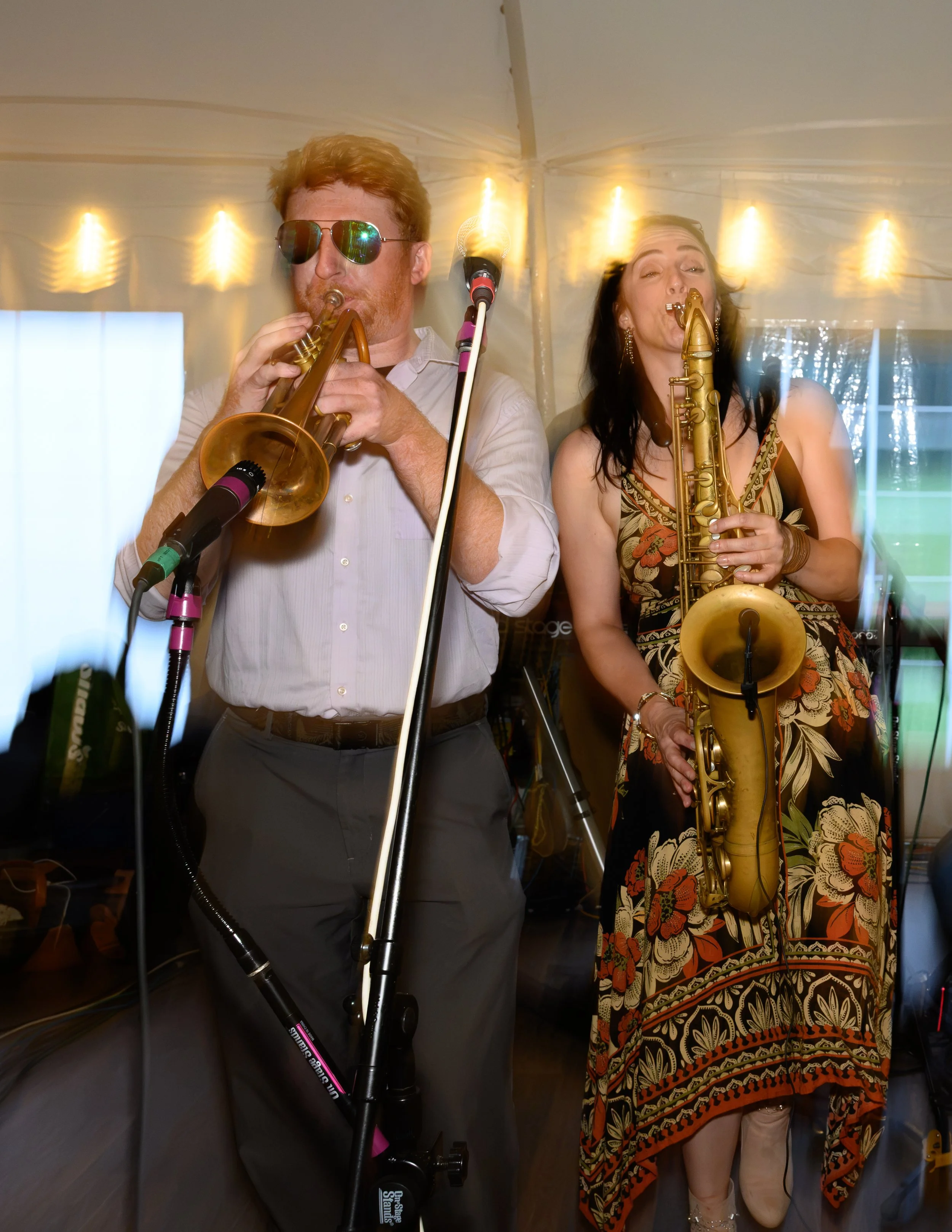 Stowe-Land-Trust_Party-in-the-Meadow-93.jpg