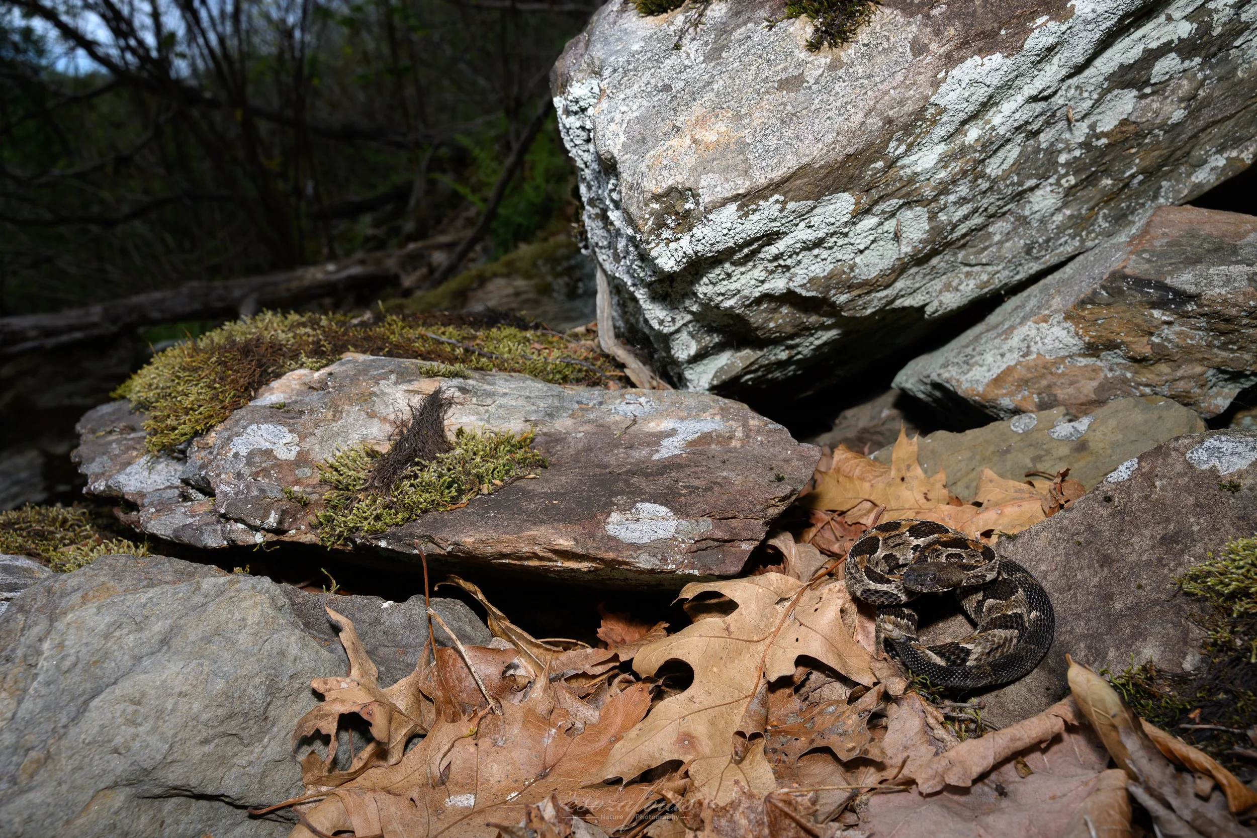 DSC_3324.jpg