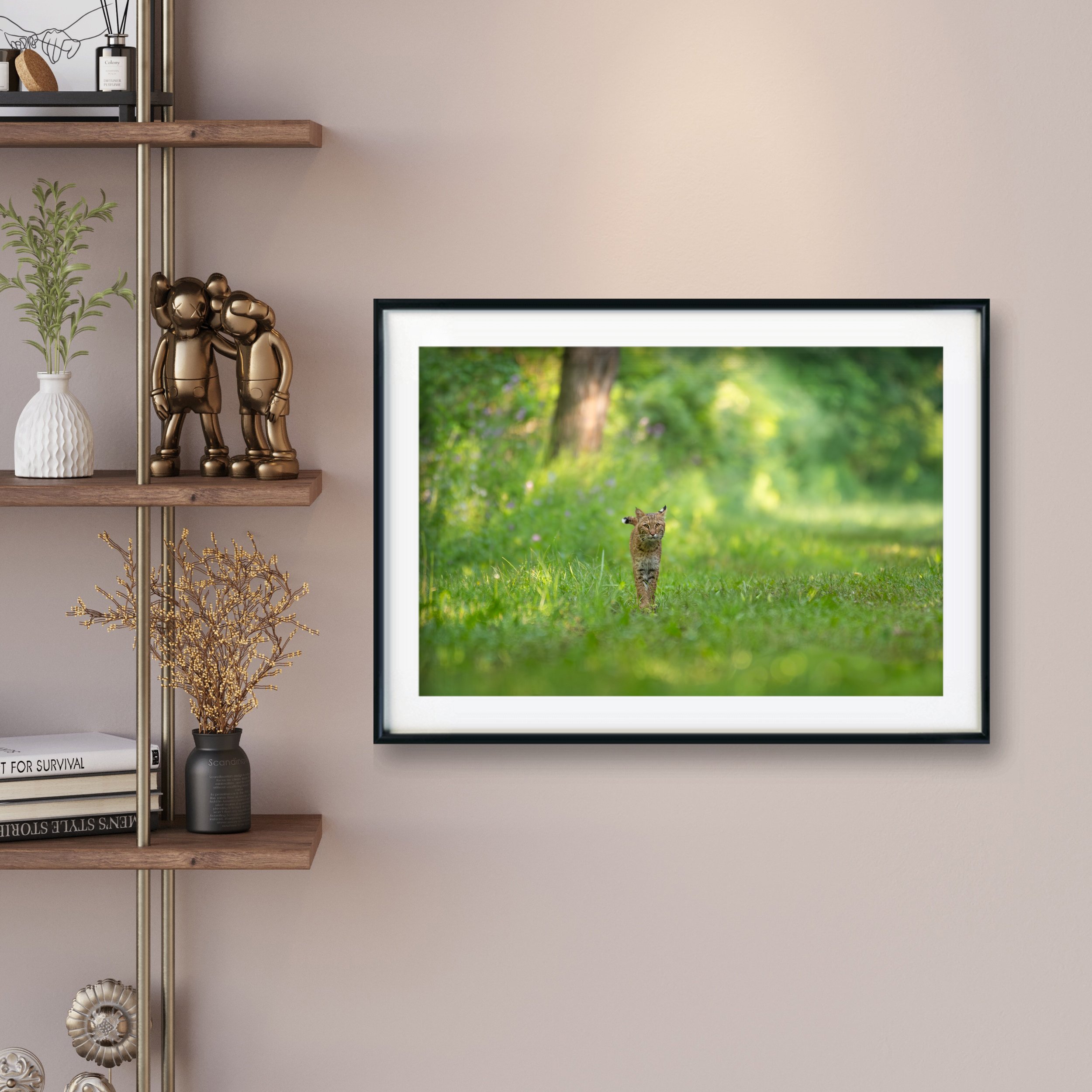 Spirit of the Forest - Bobcat From Williamstown, Massachusetts | Wildlife Photography Print