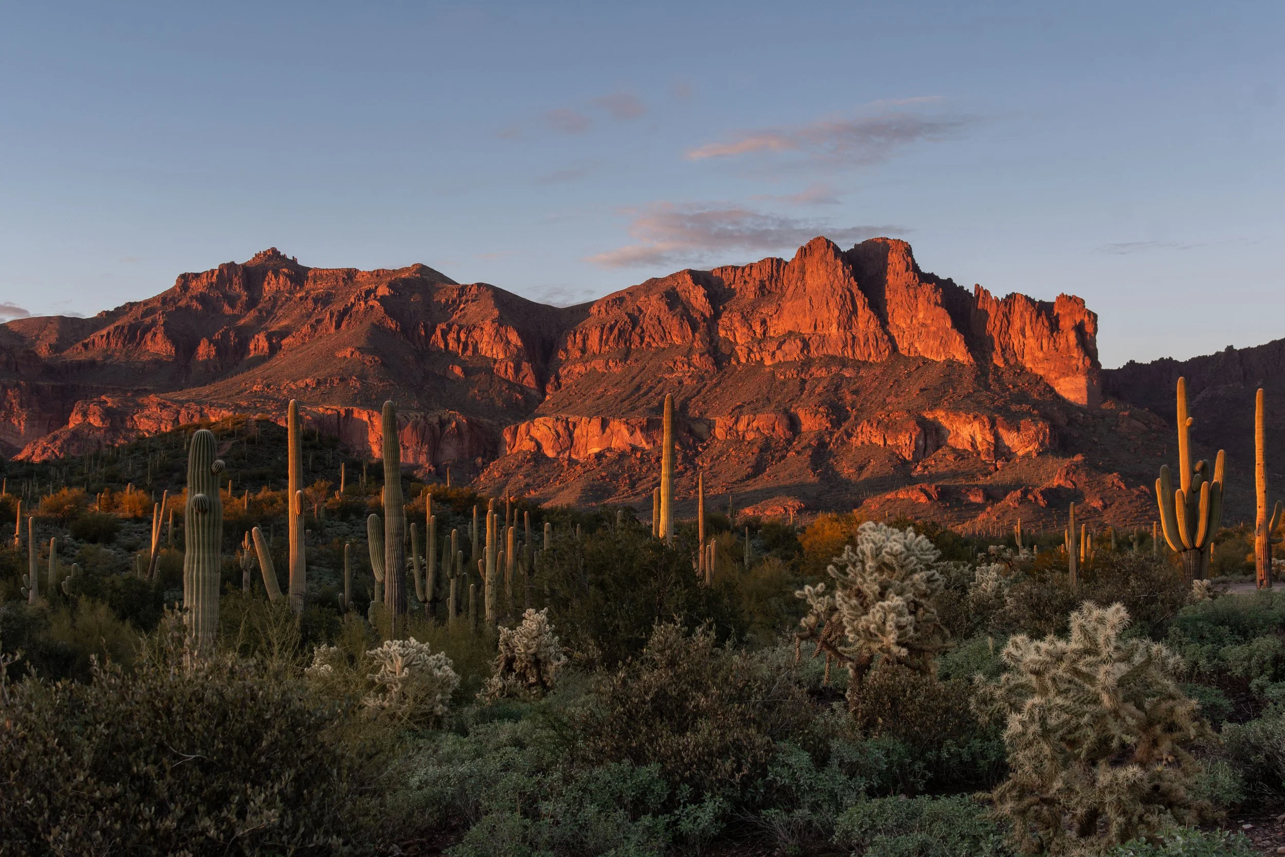 Arizona-Cactus-Superstition-Mountains-Sunset-Landscape-Photography.jpg