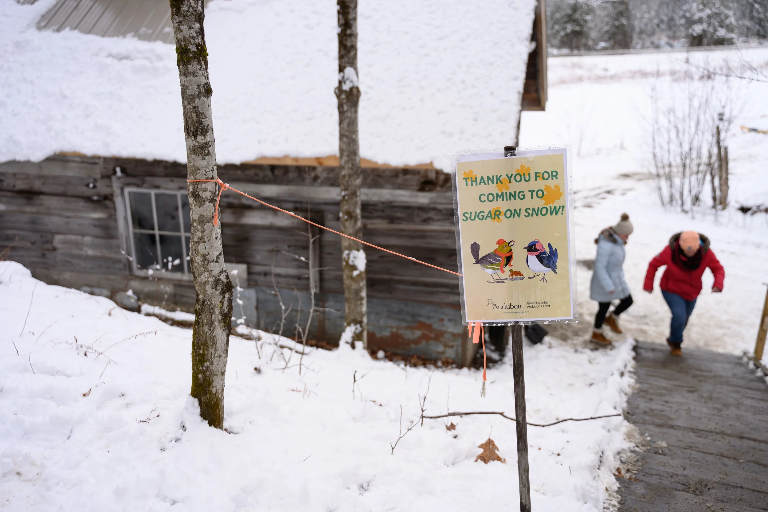 Audubon_Vermont_MapleonIce-41.jpg