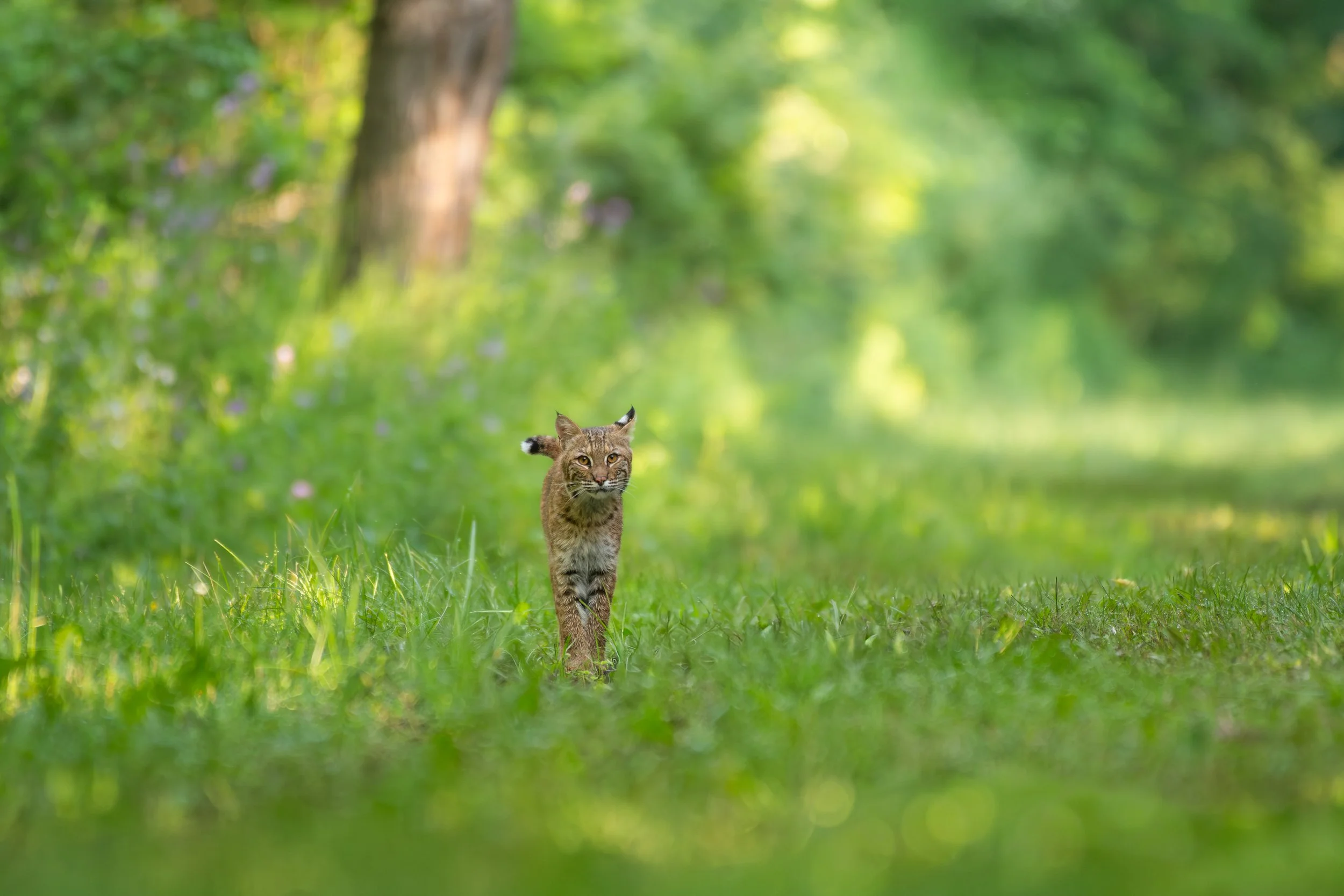 DSC_2863.jpg