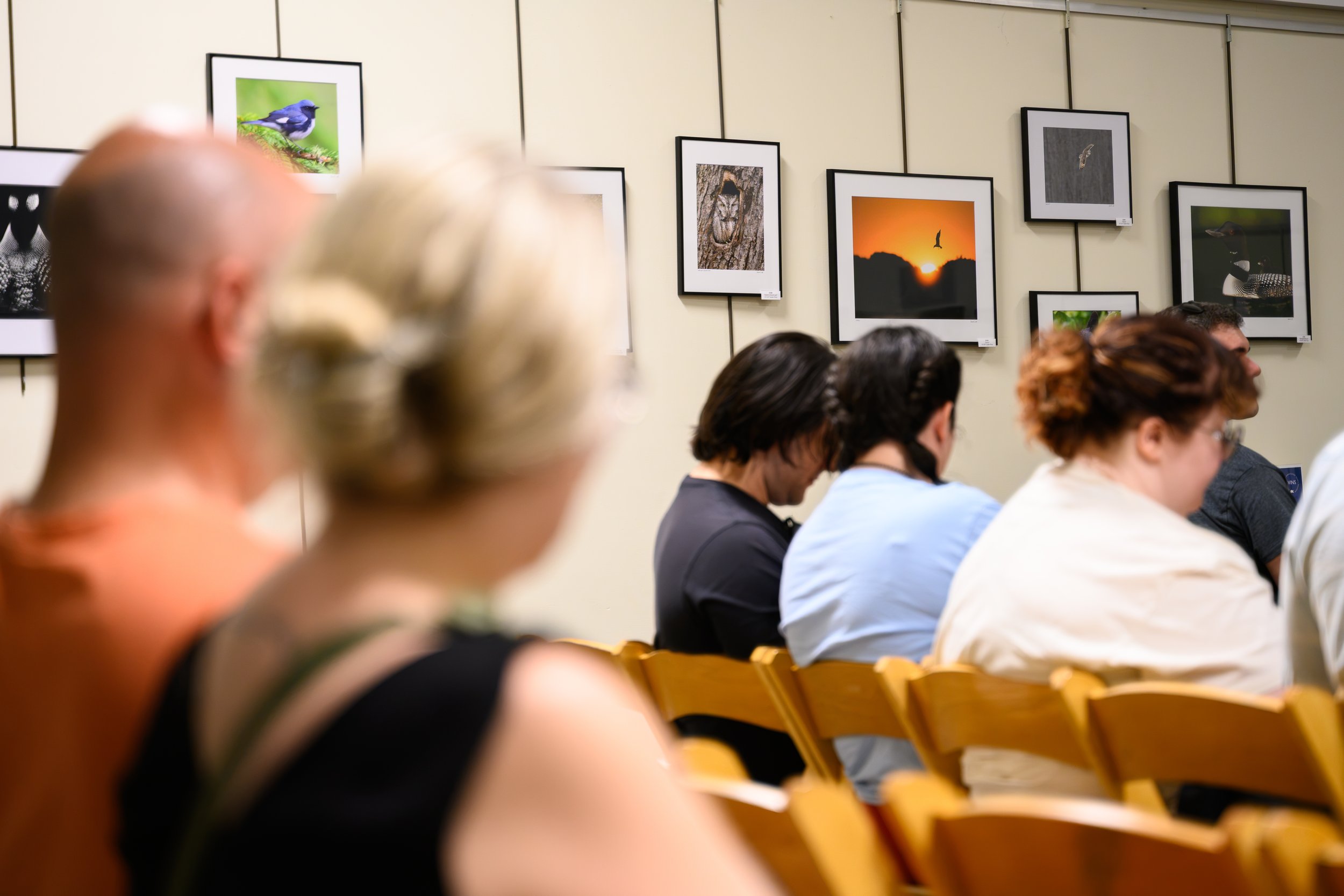 People seated in an auditorium or gallery watching framed bird and nature photographs on a beige wall.