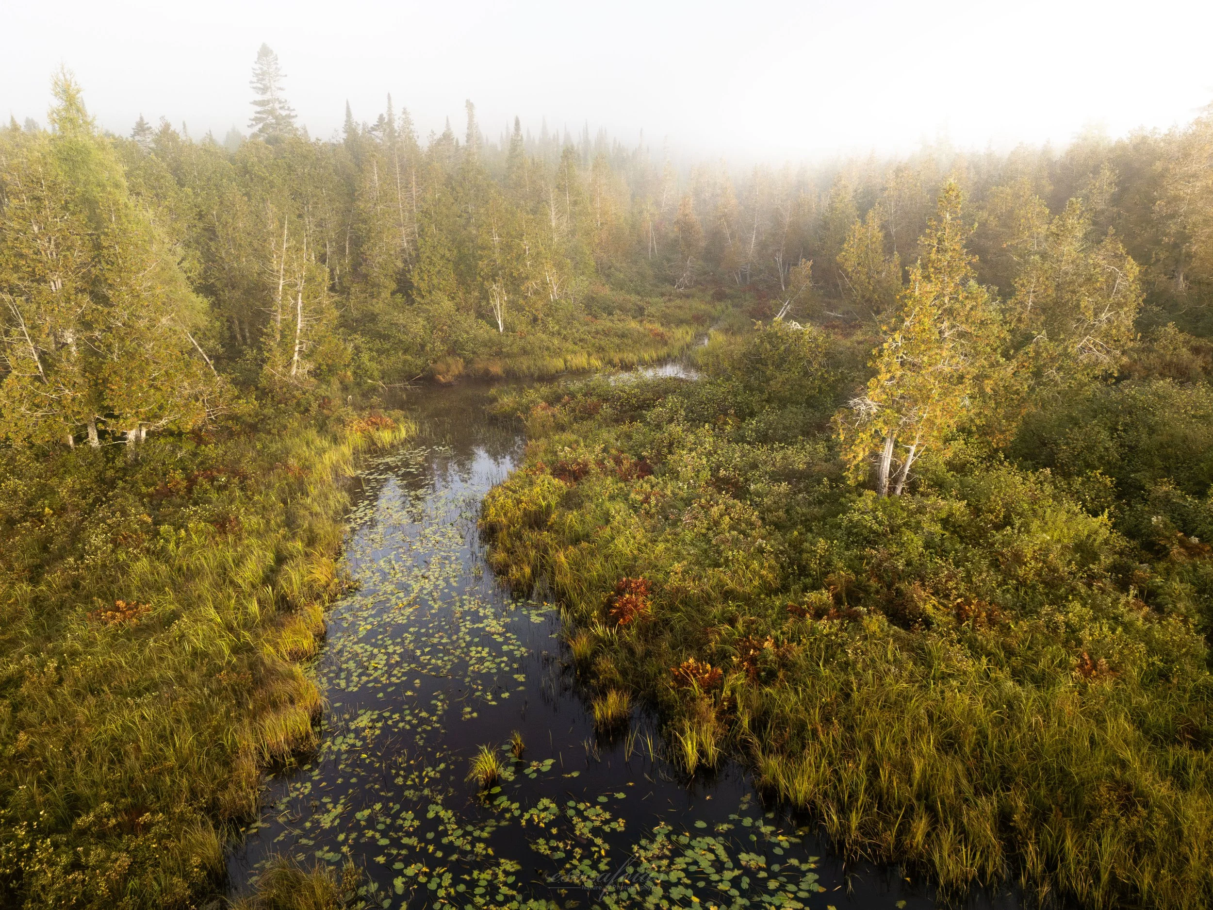 Vermont-Fog-Sunrise-Bog-Drone-Nature-Landscape-Photography.jpg (Copy)