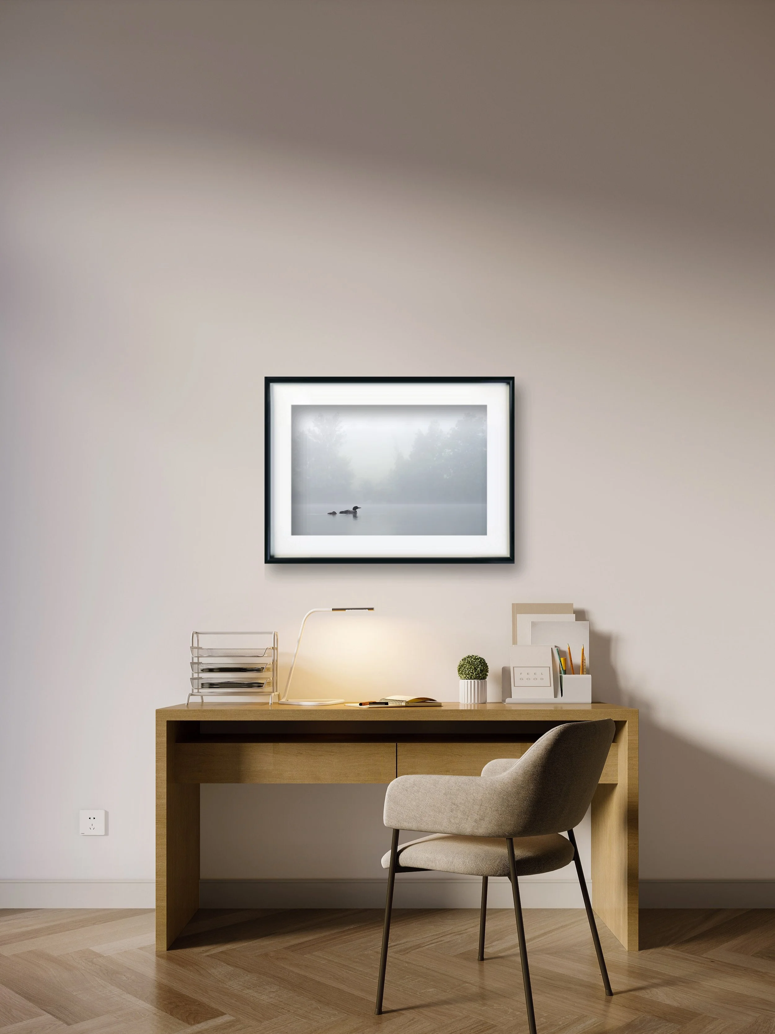 In The Fog - Common Loon From Colchester, Vermont | Wildlife Photography Print