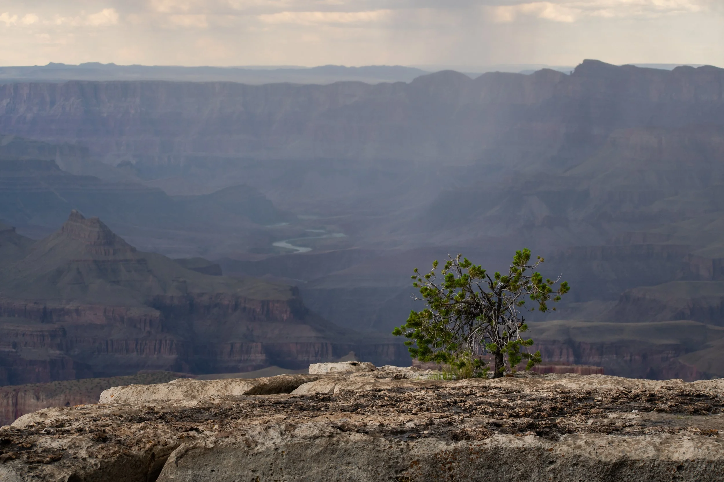 Arizona-Grand-Canyon-National-Park-Landscape-Nature-Photography.jpg