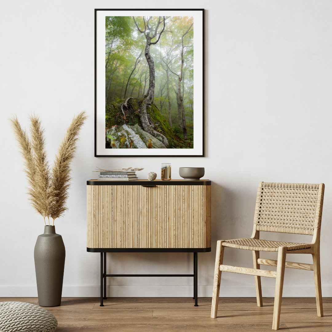 Born From Stone - Stowe, Vermont | Landscape Photography Print