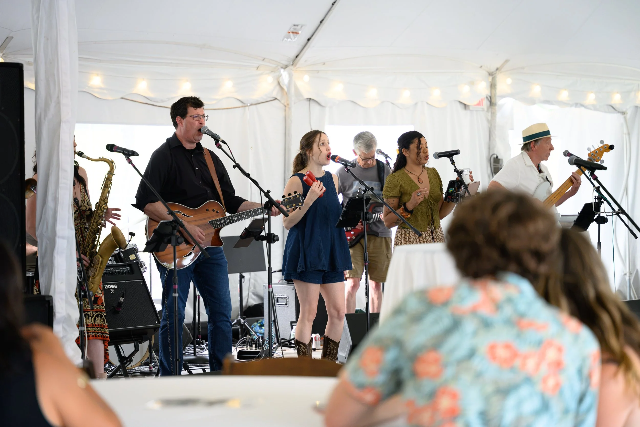 Stowe-Land-Trust_Party-in-the-Meadow-21.jpg