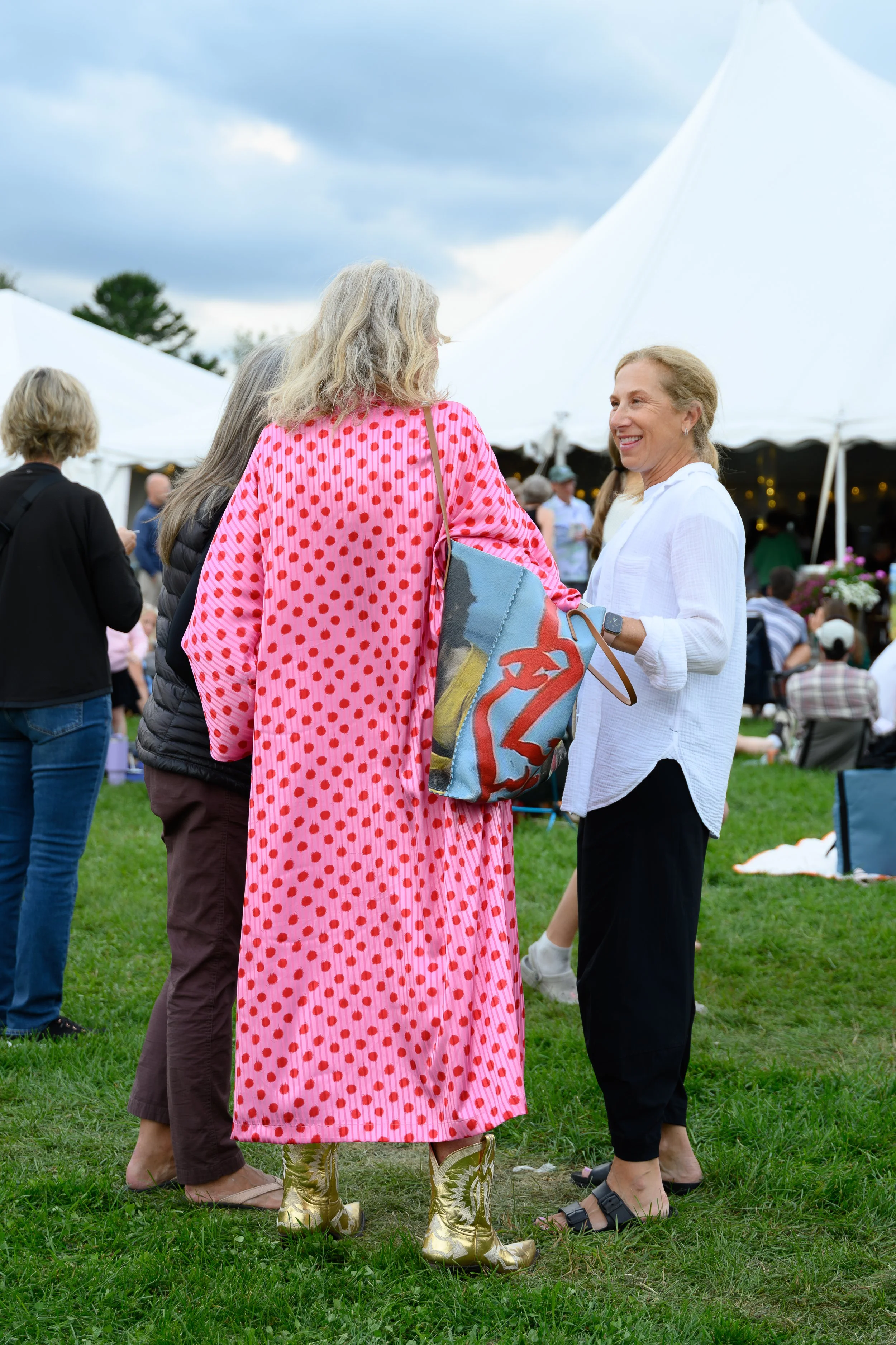 Stowe-Land-Trust_Party-in-the-Meadow-79.jpg