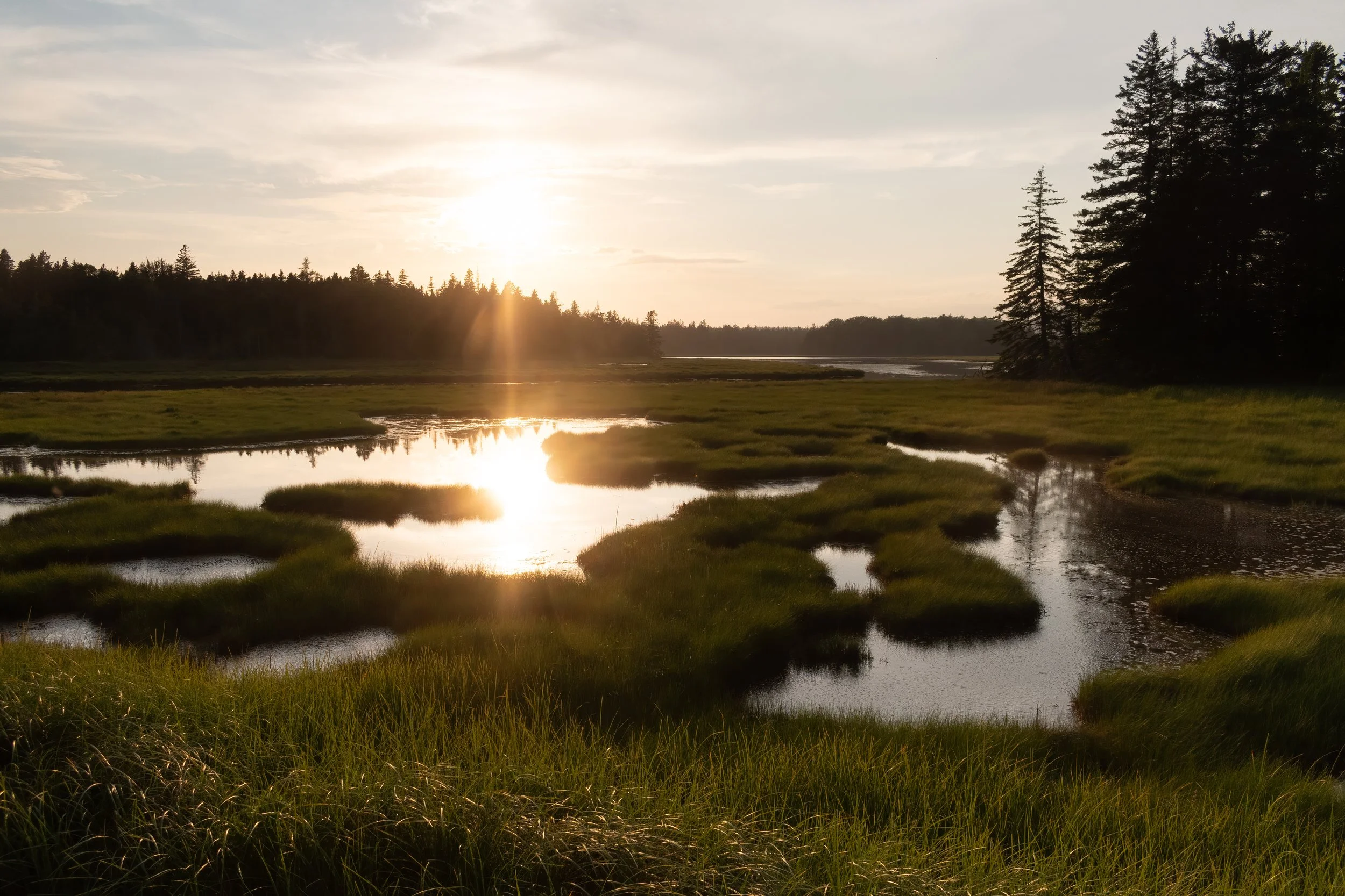 Maine-Acadia-National-Park-Sunset-Landscape-Nature-Photography.jpg