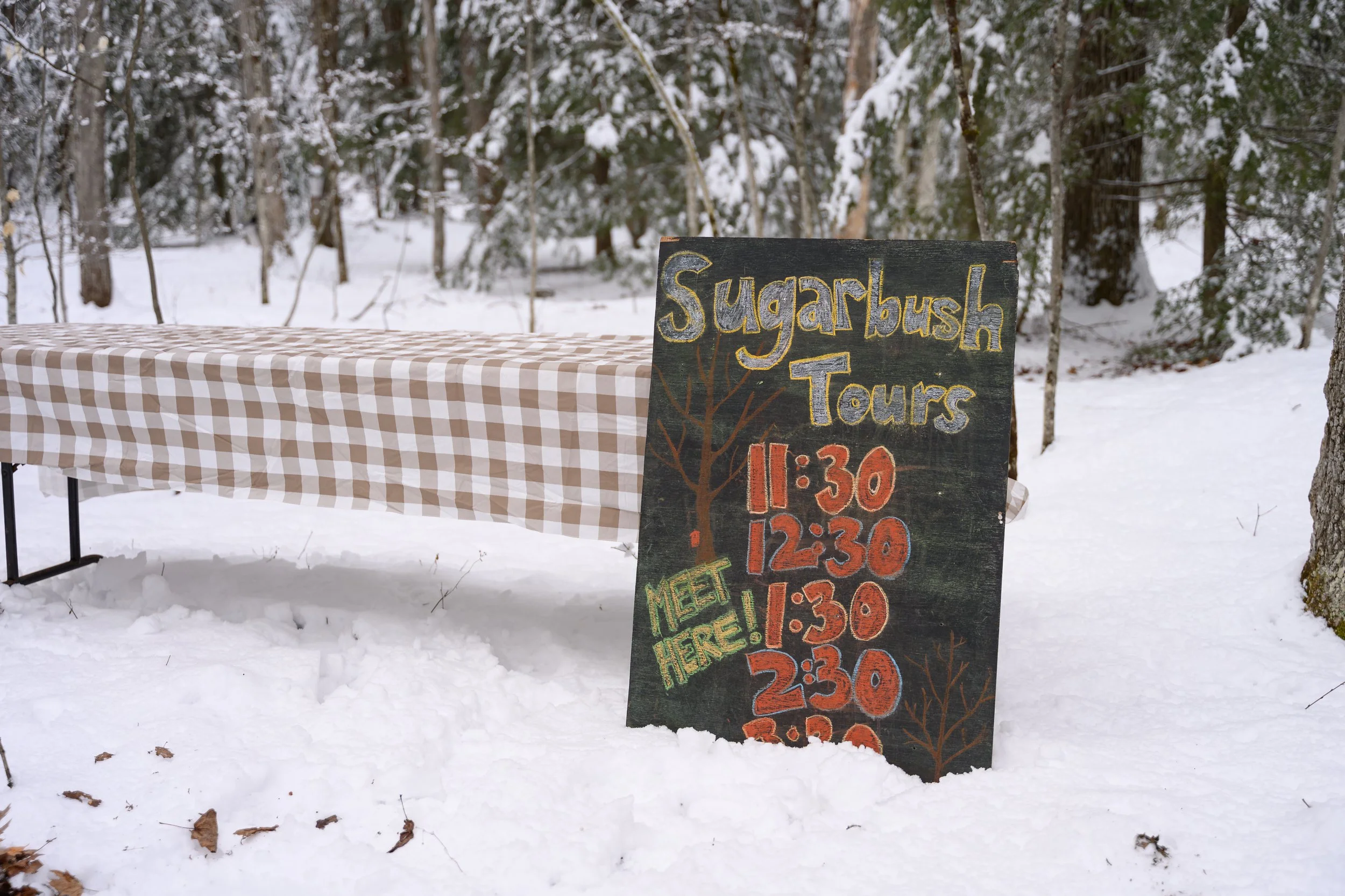 Audubon_Vermont_MapleonIce-13.jpg