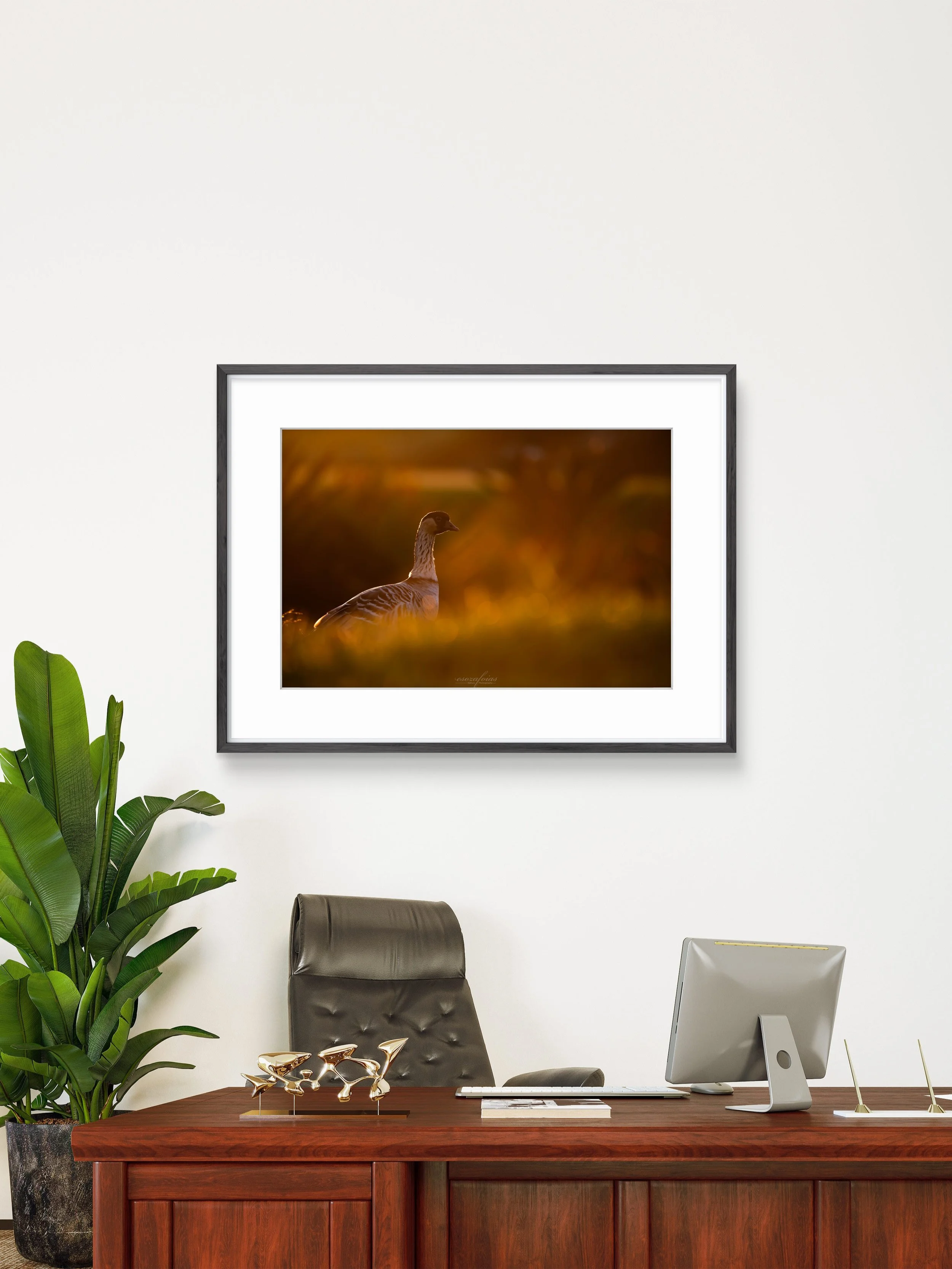 Golden Guardian - Hawaiian Goose (Nene) From Princeville, Hawaii | Wildlife Photography Print