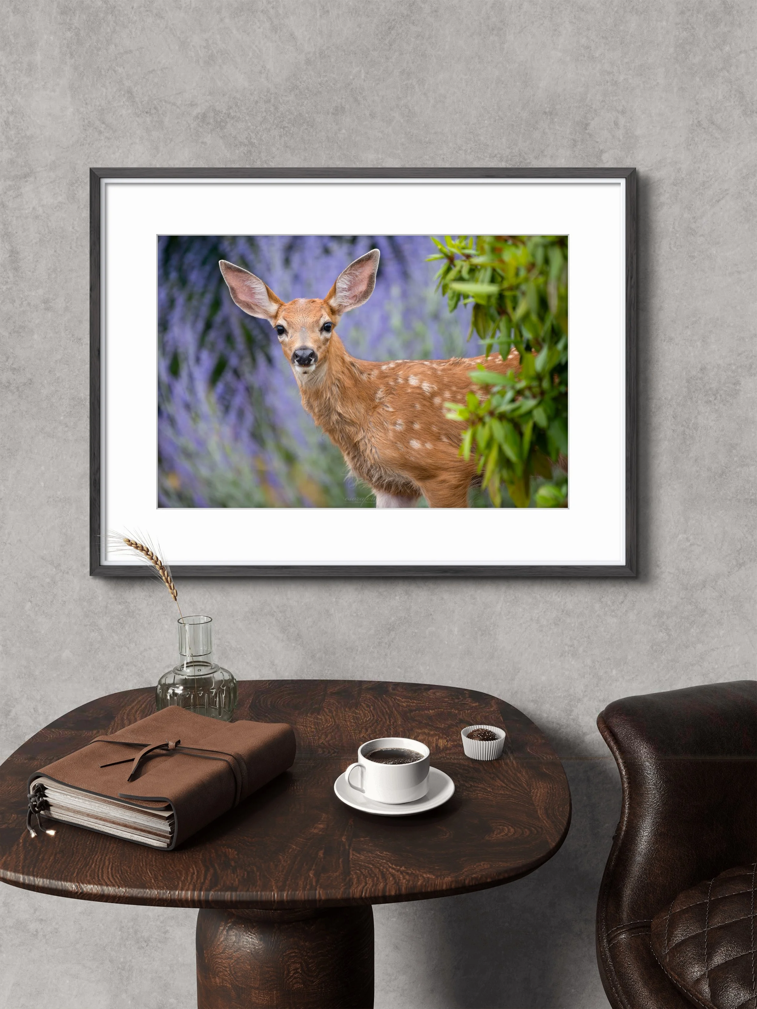 Lavender - Black-tailed Deer From Sequim, Washington | Wildlife Photography Print