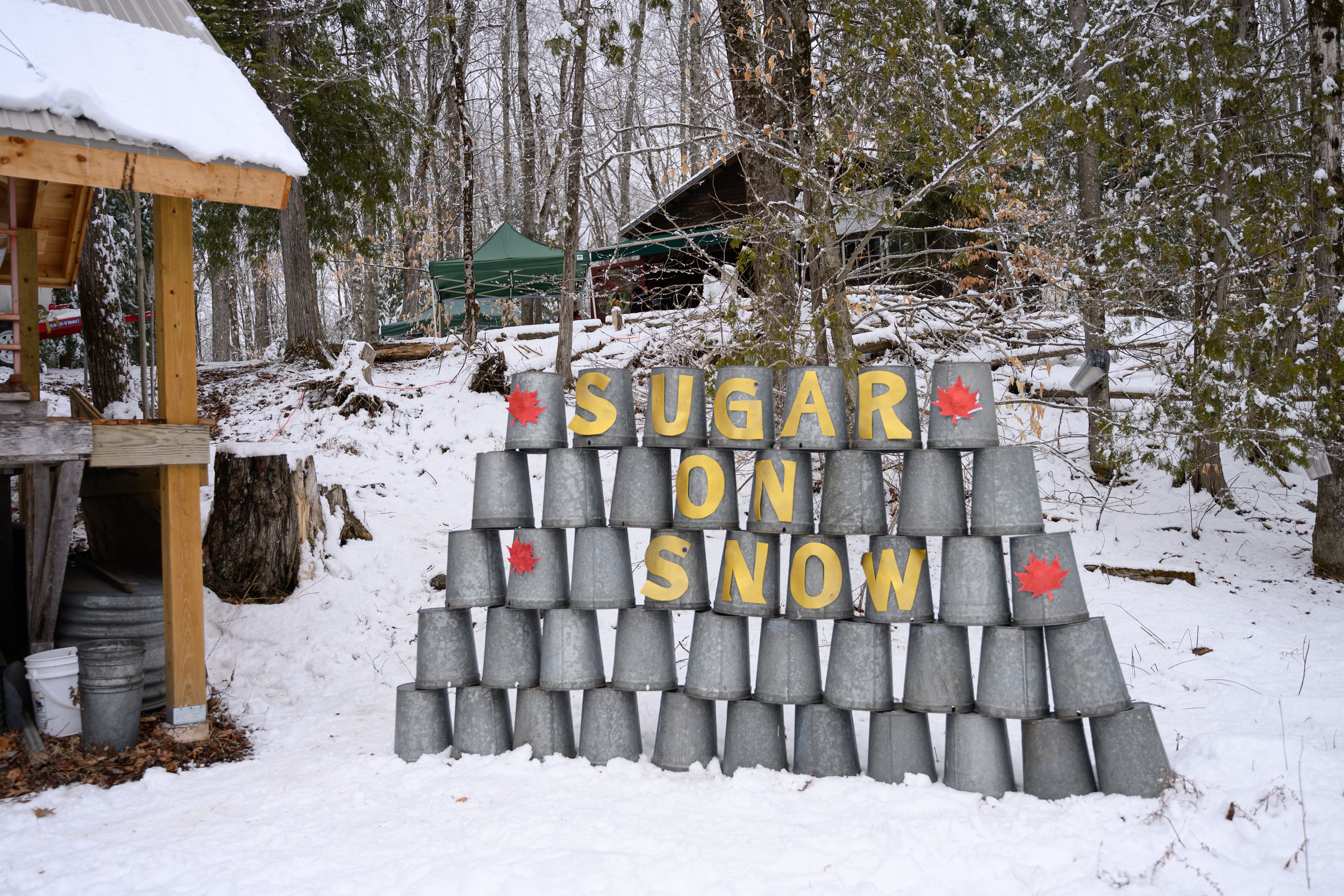 Snow-covered outdoor scene with a sign made of metal barrels spelling out "SUGAR ON SNOW" with red maple leaf decorations. There are trees, a small shelter, and tents in the background.