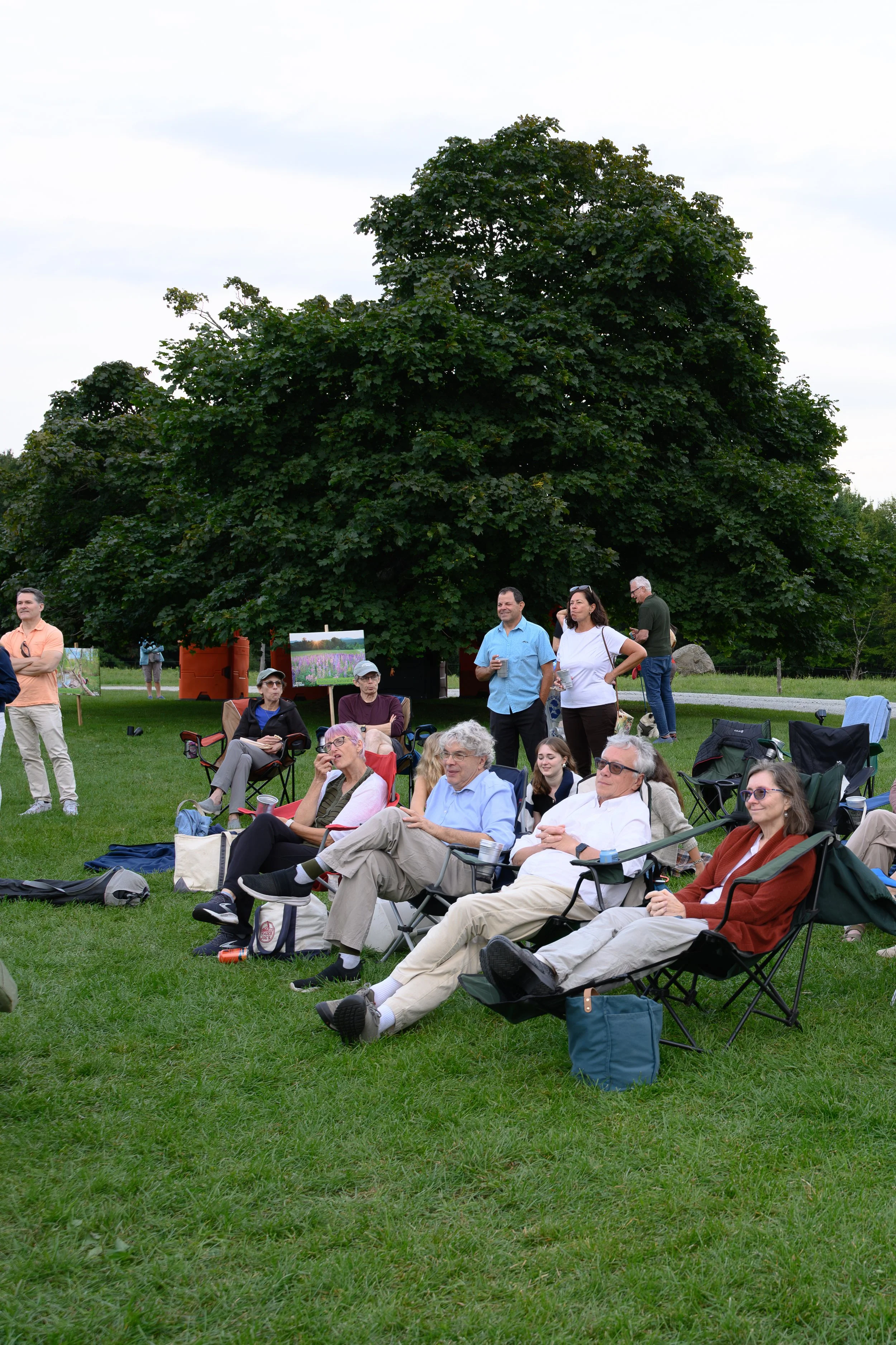 Stowe-Land-Trust_Party-in-the-Meadow-85.jpg