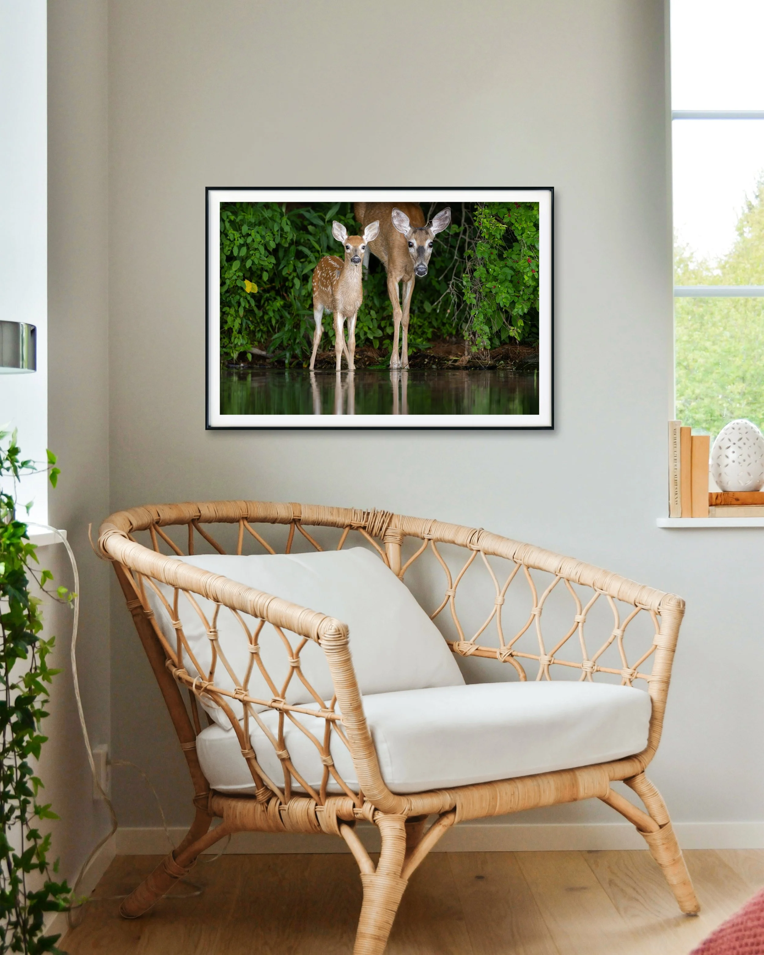 Product-Mom-Family-Vermont-White-tailed-Deer-Mammal-Wildlife-The-Doe-and-the-Fawn-Wall-Art-Print-Photography.jpg (Copy)