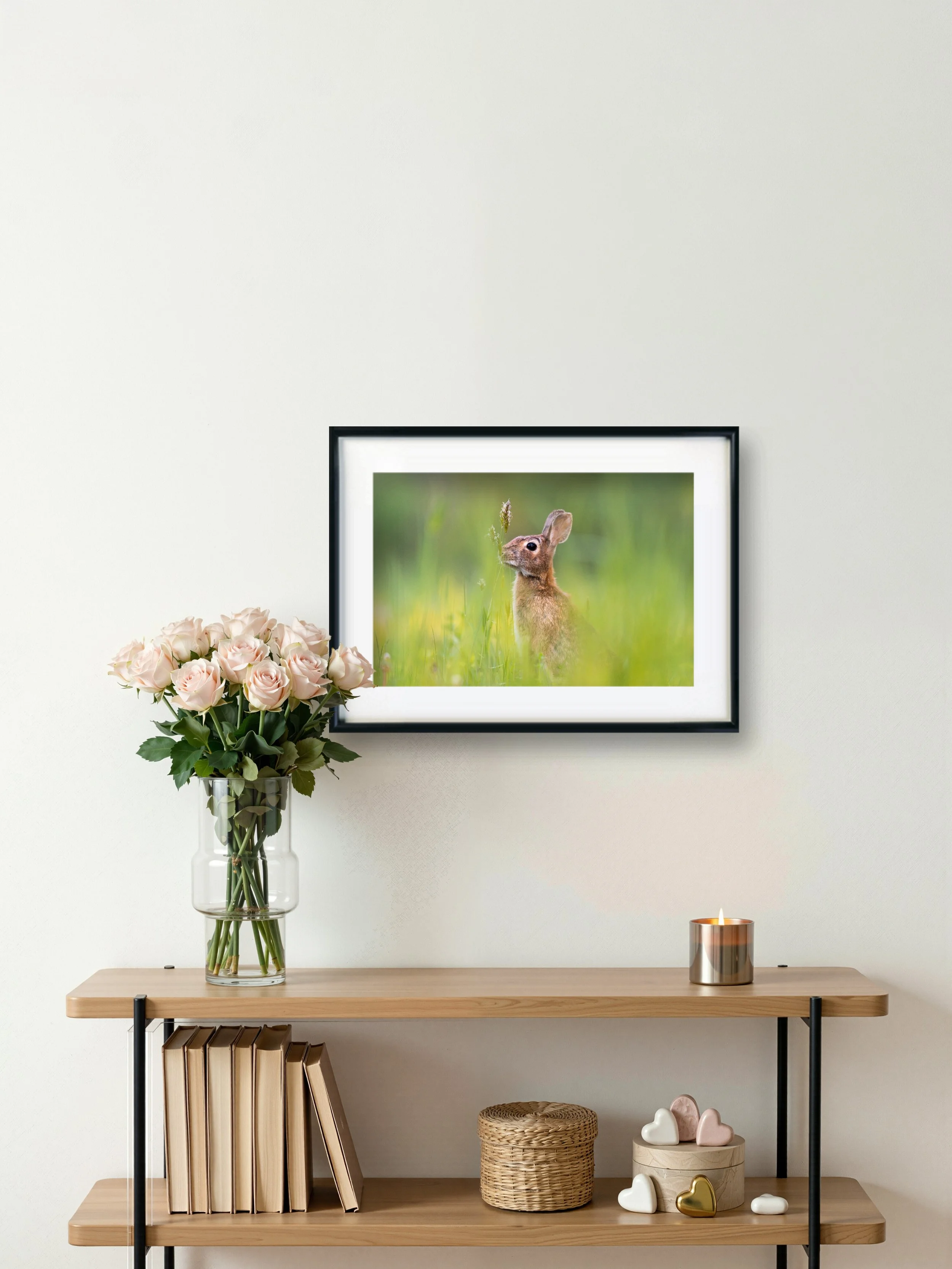 Spring's Harbinger - Eastern Cottontail From Williamstown, Massachusetts | Wildlife Photography Print