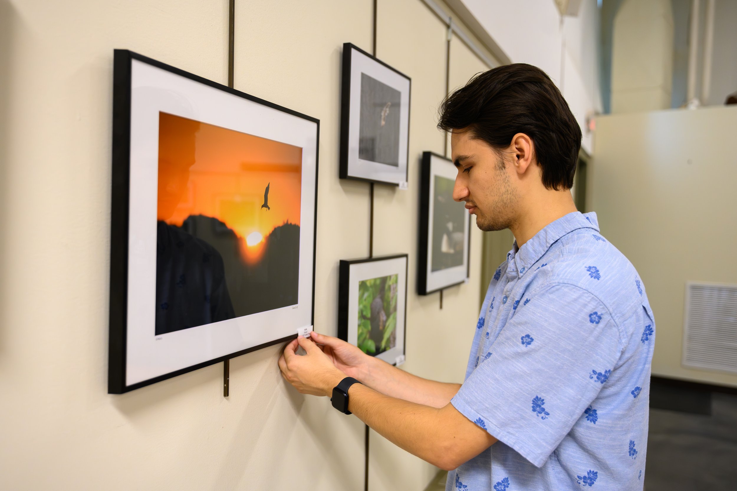 A man with dark hair wearing a light blue shirt with a floral pattern is looking at artwork on a gallery wall. The artwork displays a sunset with an orange sky and a silhouette of a bird flying.