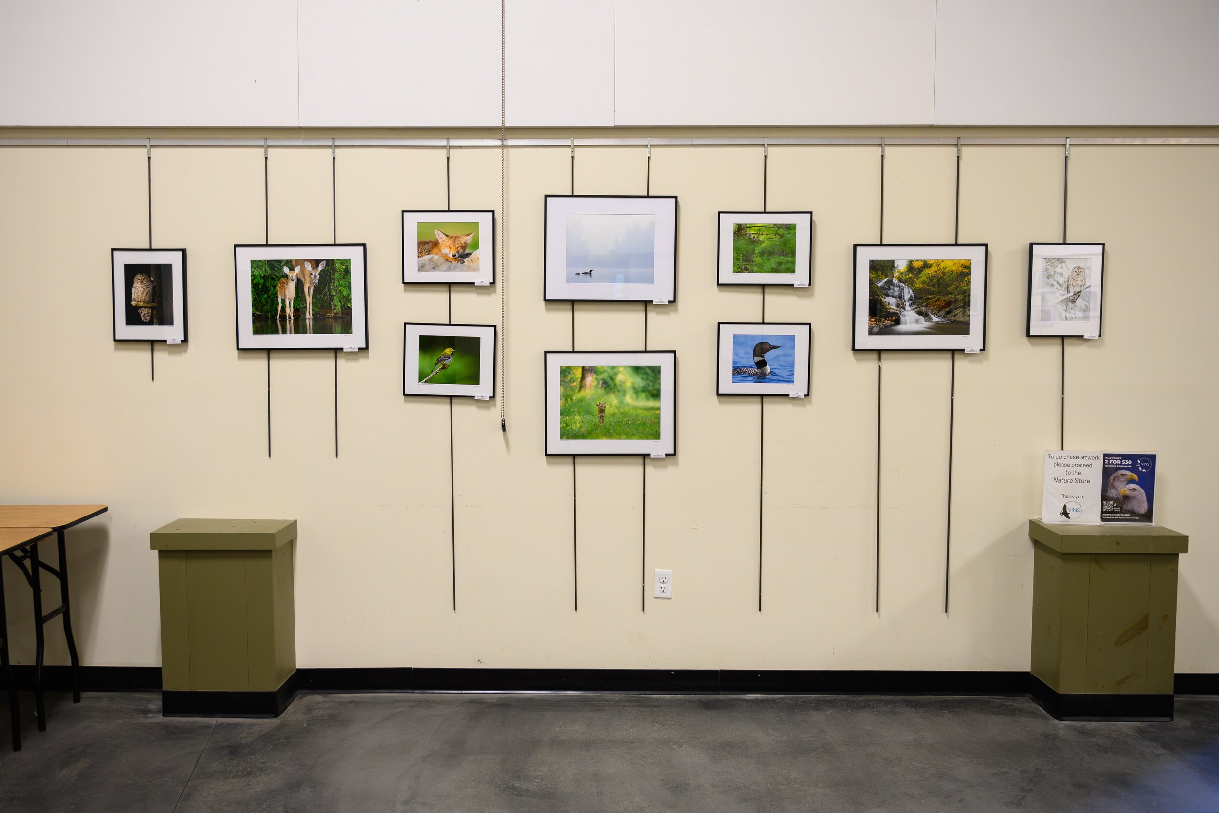Gallery wall featuring various nature photographs including animals and landscapes, with a small table and a sign at the bottom right corner.
