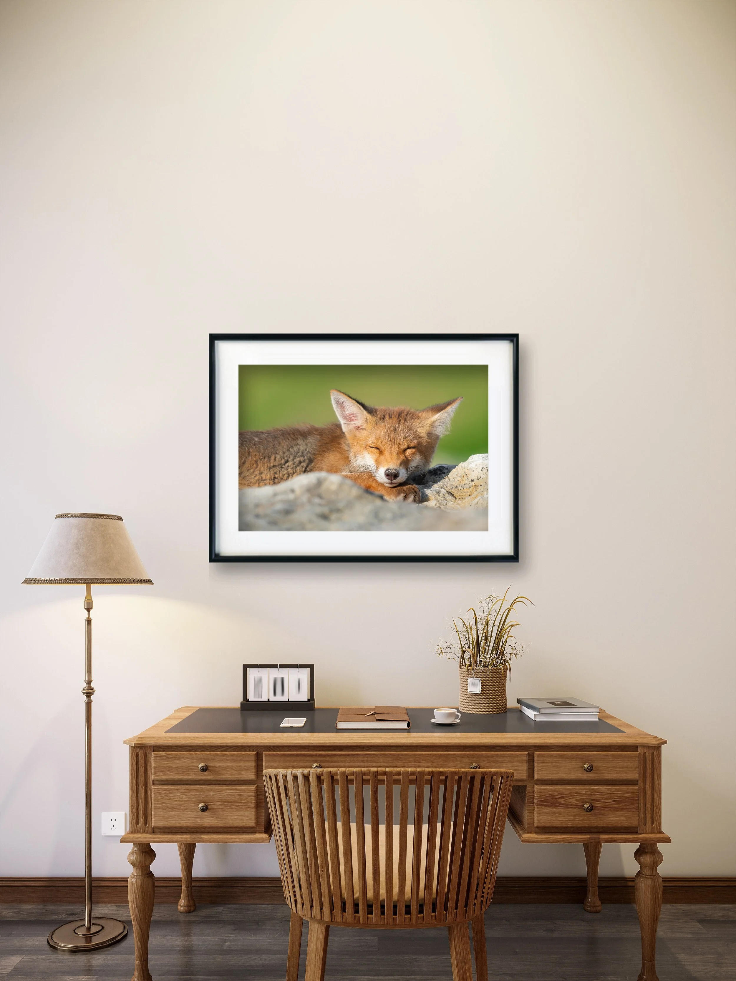 Red Fox - PI.jpg