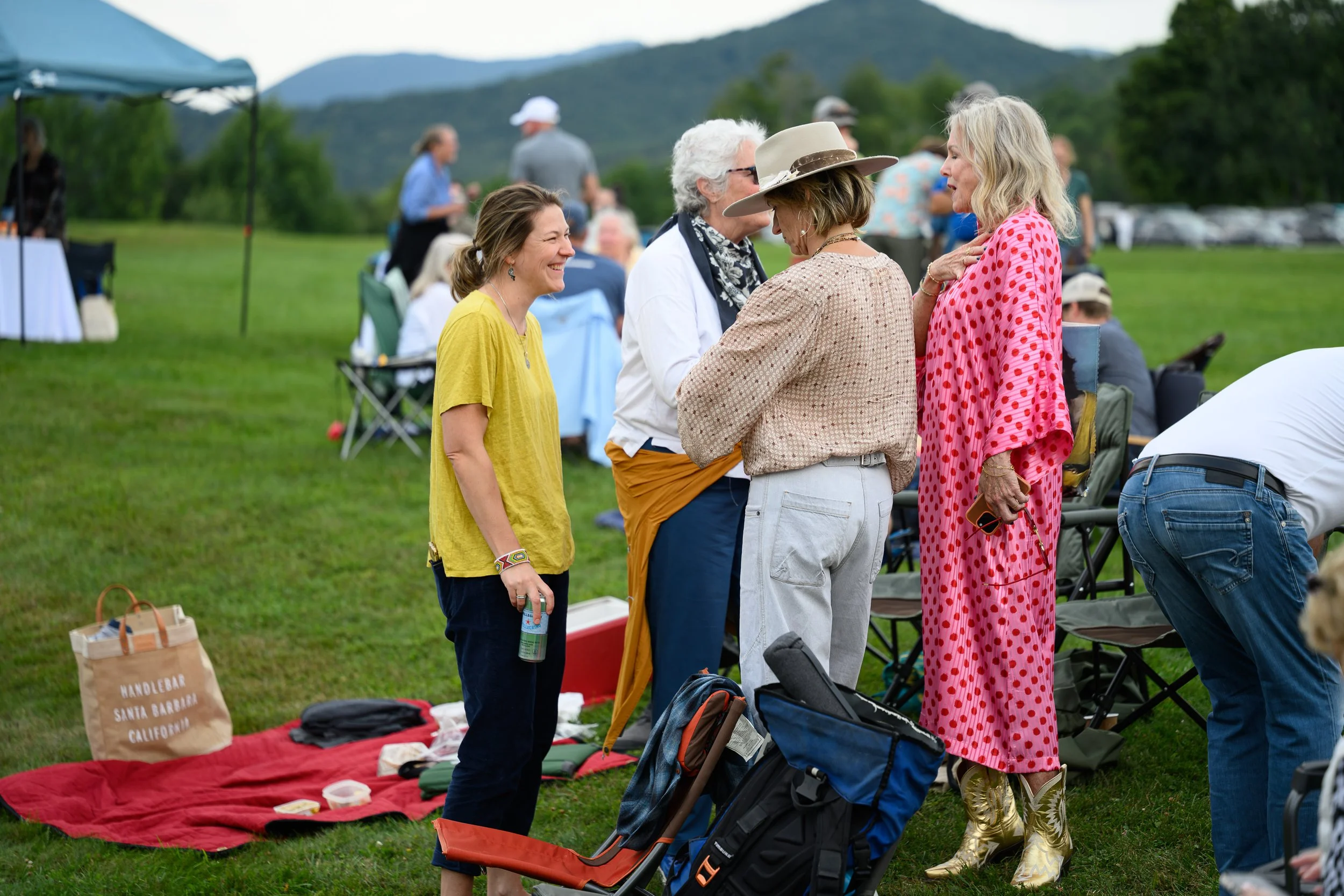 Stowe-Land-Trust_Party-in-the-Meadow-48.jpg