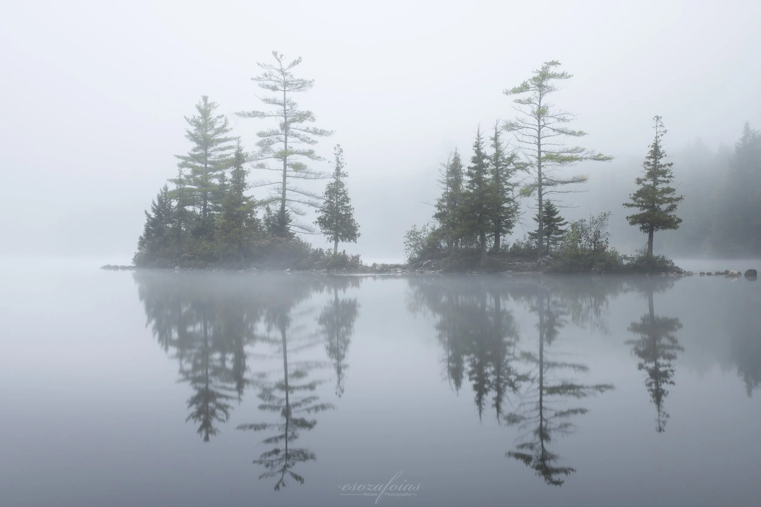 Vermont-Ricker-Pond-Calm-Tranquil-Lake-Island-Fog-Groton-State-Forest-Nature-Landscape-Photography.JPG (Copy)