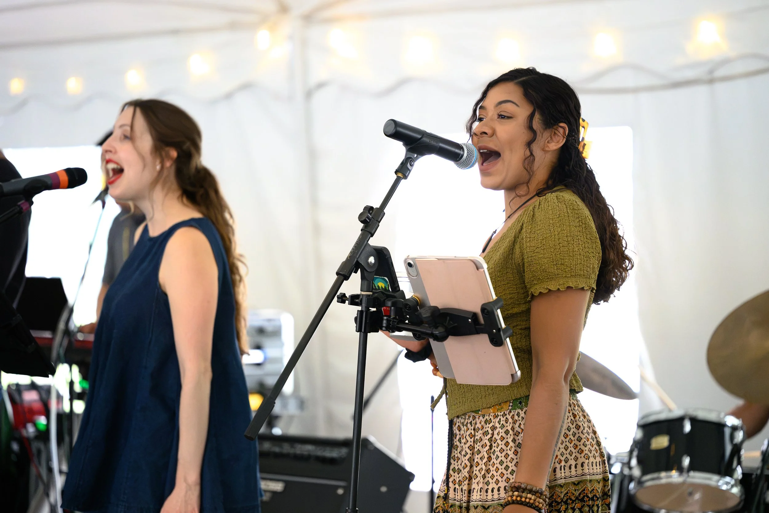 Stowe-Land-Trust_Party-in-the-Meadow-35.jpg