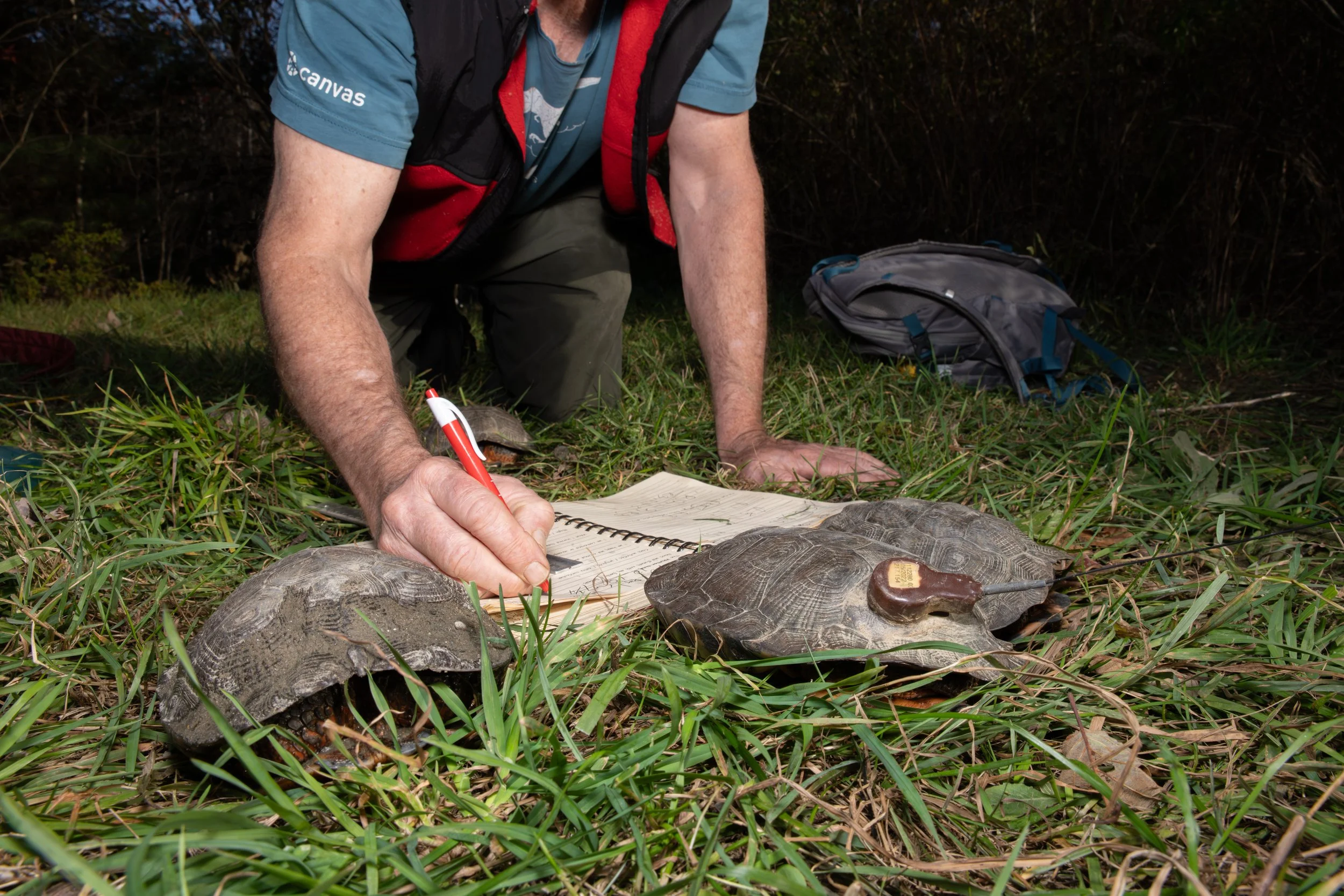 Wood-Turtle-Hands-Notes-GPS-Science-Conservation-Research-Vermont-Photography.jpg