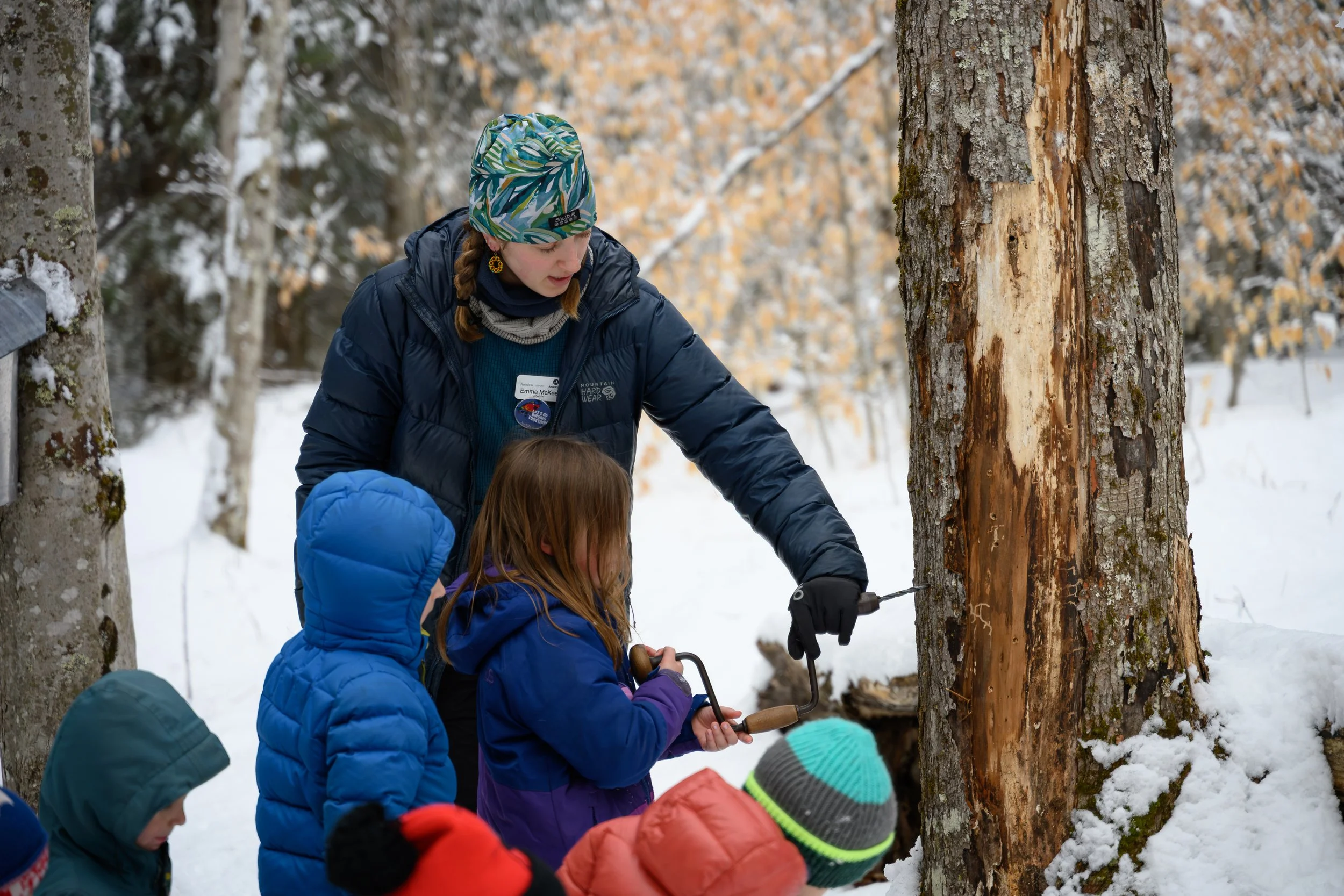 Audubon_Vermont_MapleonIce-24.jpg