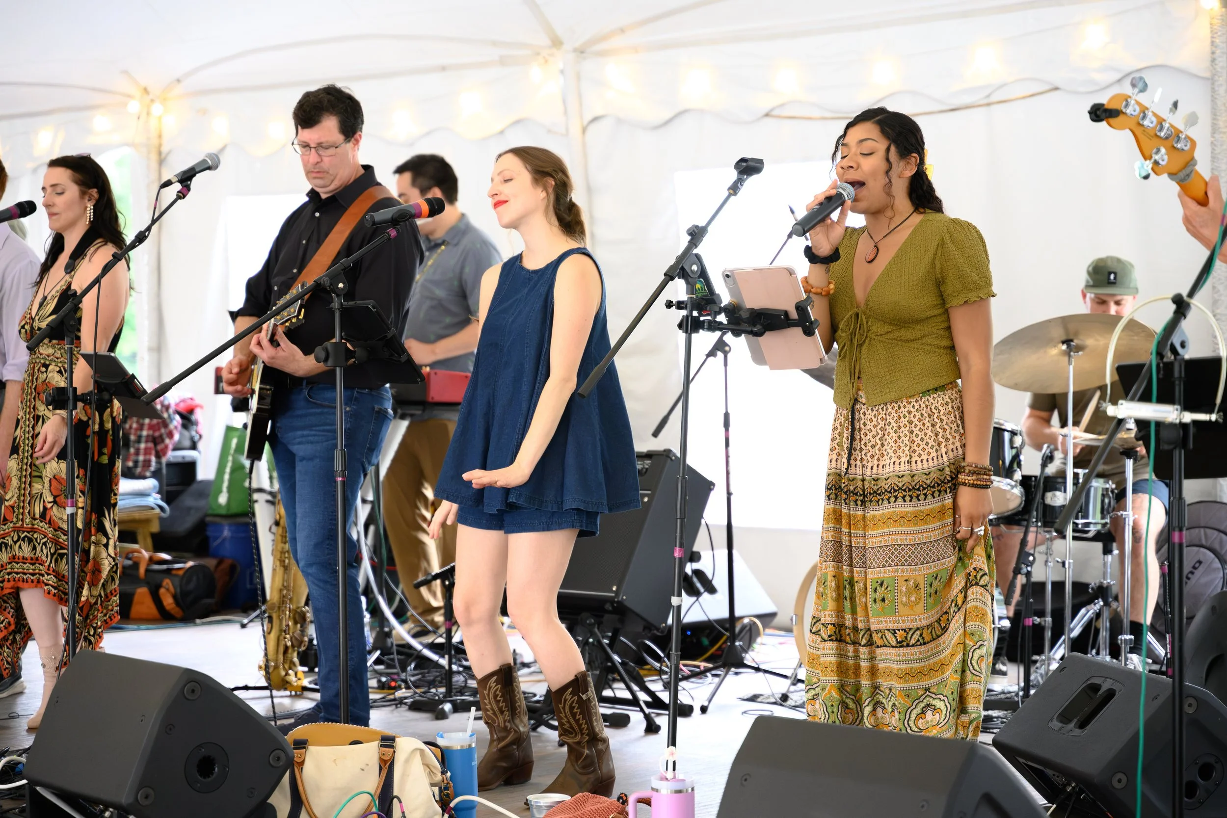 Stowe-Land-Trust_Party-in-the-Meadow-78.jpg