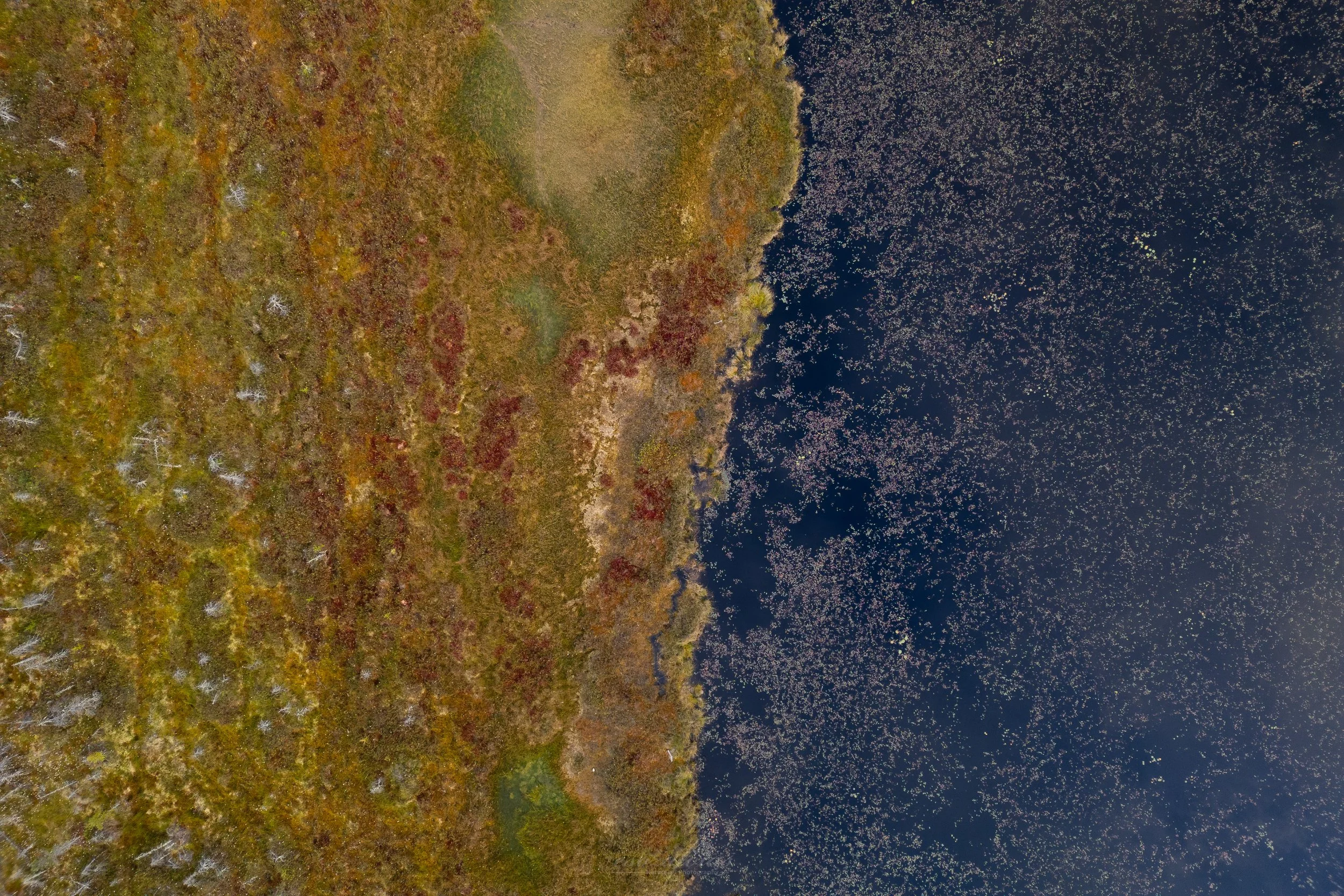 Vermont-Colorful-Sunrise-Bog-Drone-Nature-Landscape-Photography.jpg (Copy)