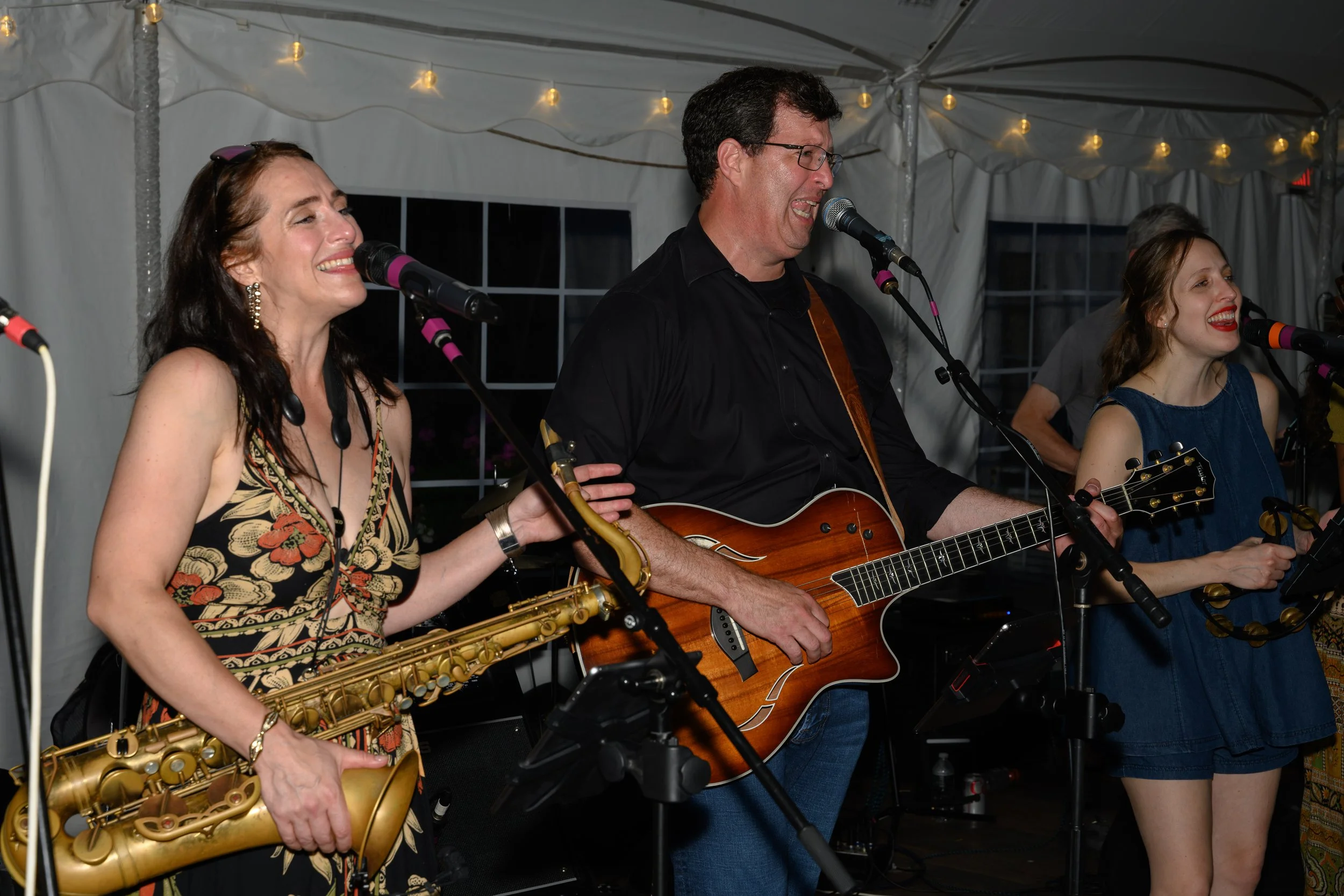 Stowe-Land-Trust_Party-in-the-Meadow-95.jpg